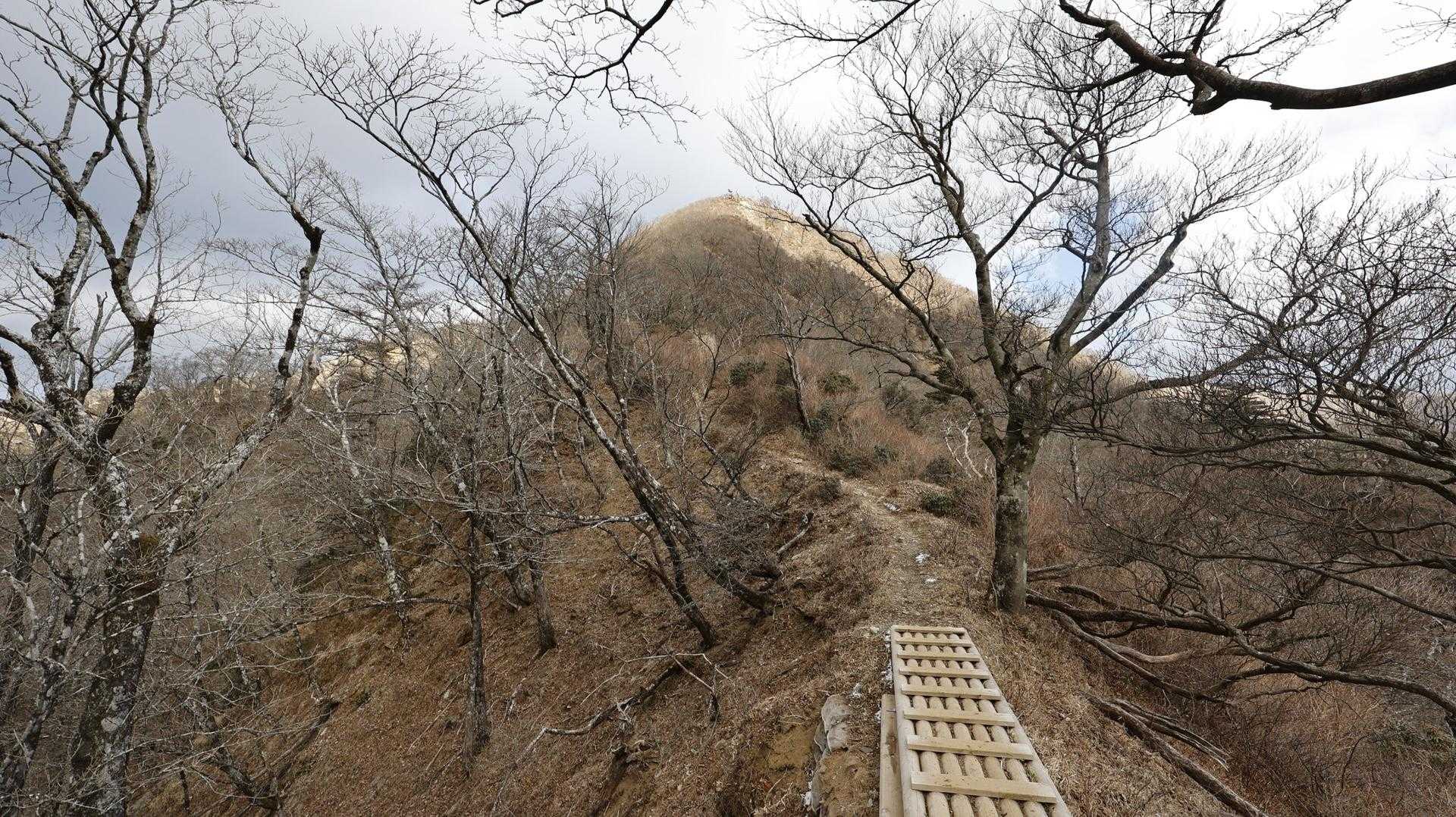 丹沢主脈縦走（檜洞丸•蛭ヶ岳•丹沢山•塔ノ岳•鍋割山） の写真 28