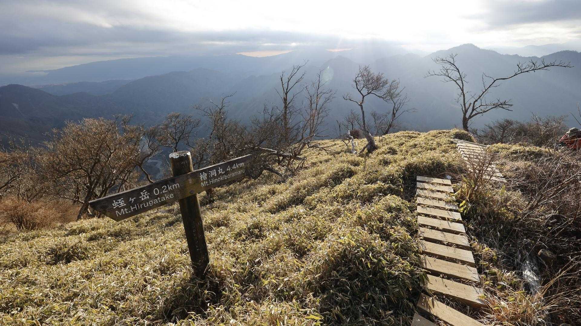 丹沢主脈縦走（檜洞丸•蛭ヶ岳•丹沢山•塔ノ岳•鍋割山） の写真 36