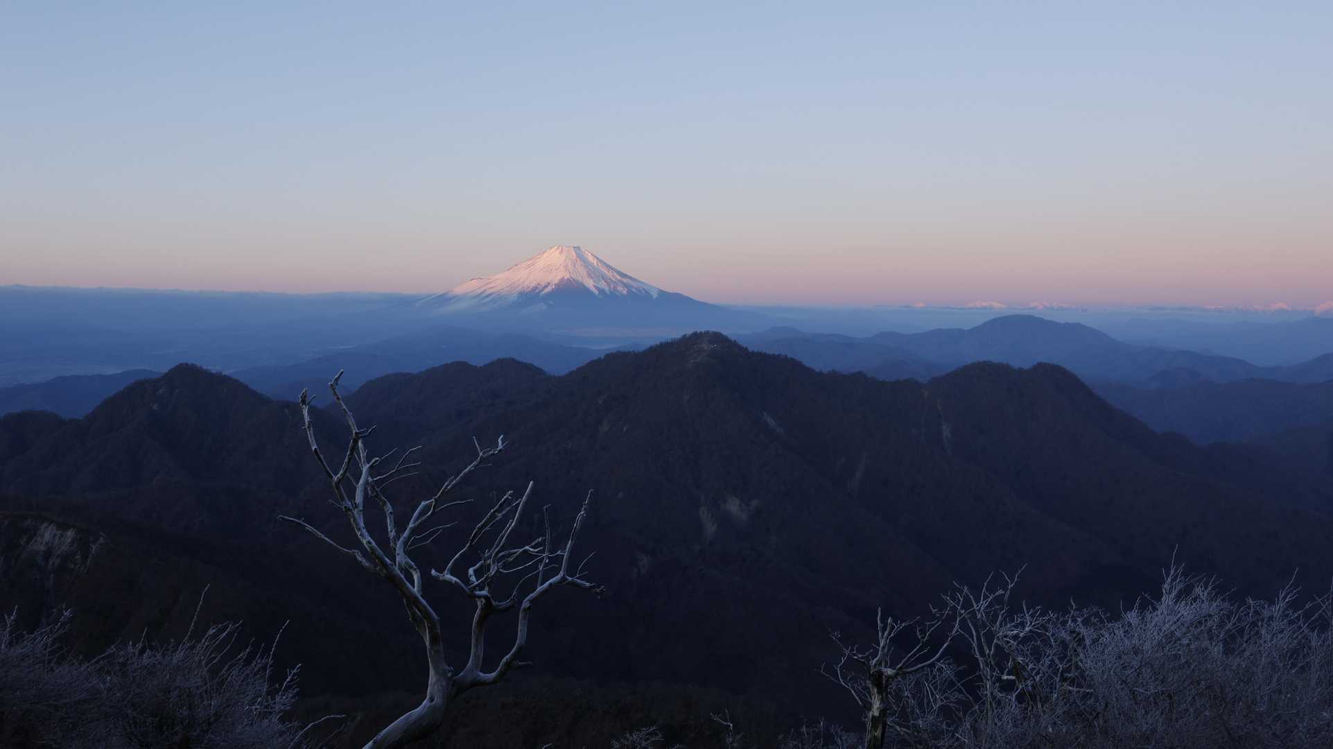 丹沢主脈縦走（檜洞丸•蛭ヶ岳•丹沢山•塔ノ岳•鍋割山） の写真 48