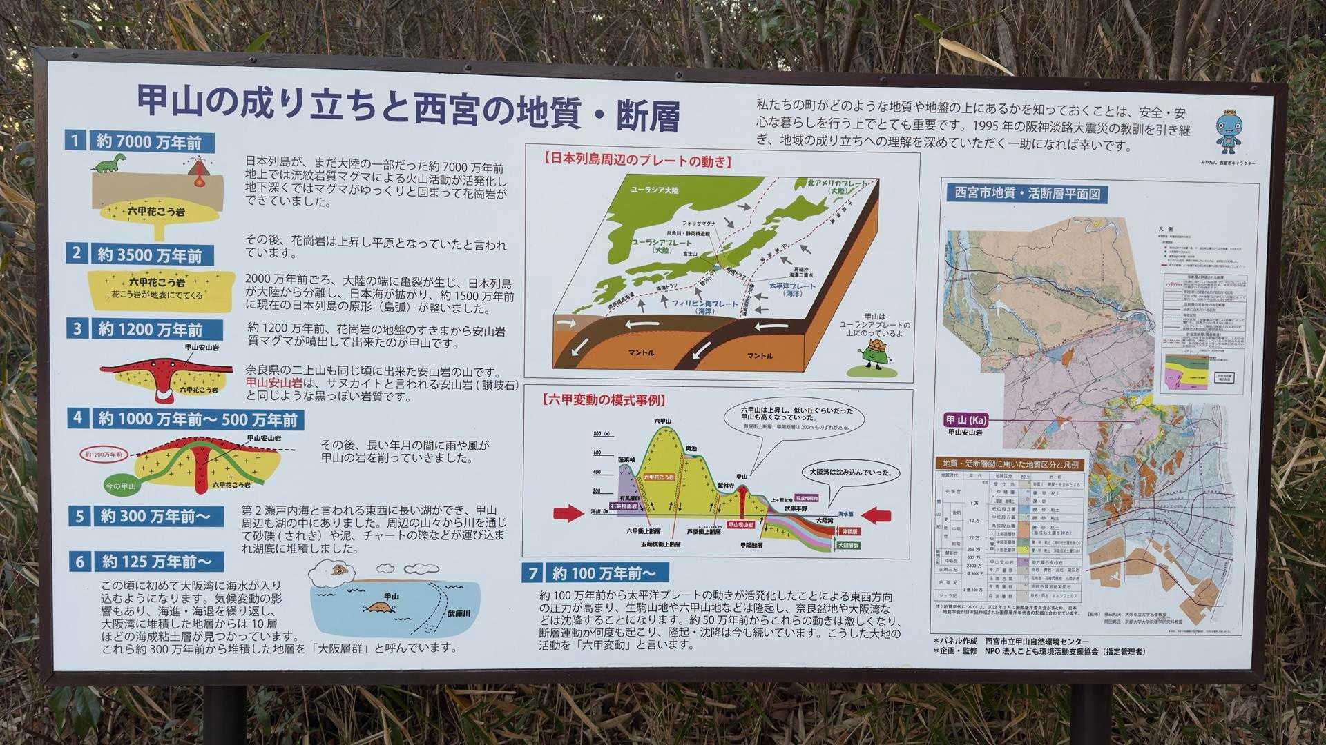 六甲ハイカー（六甲全山縦走路） の写真 8