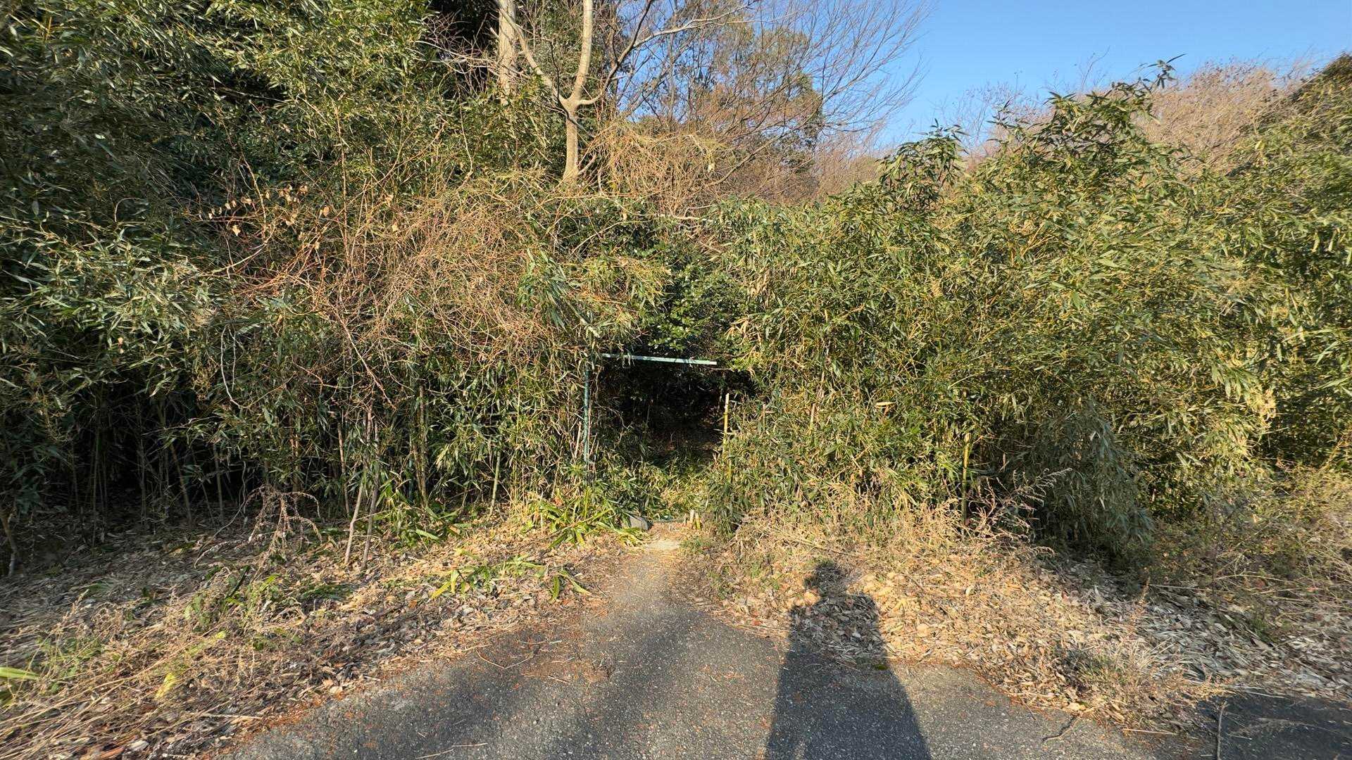 六甲ハイカー（六甲全山縦走路） の写真 12