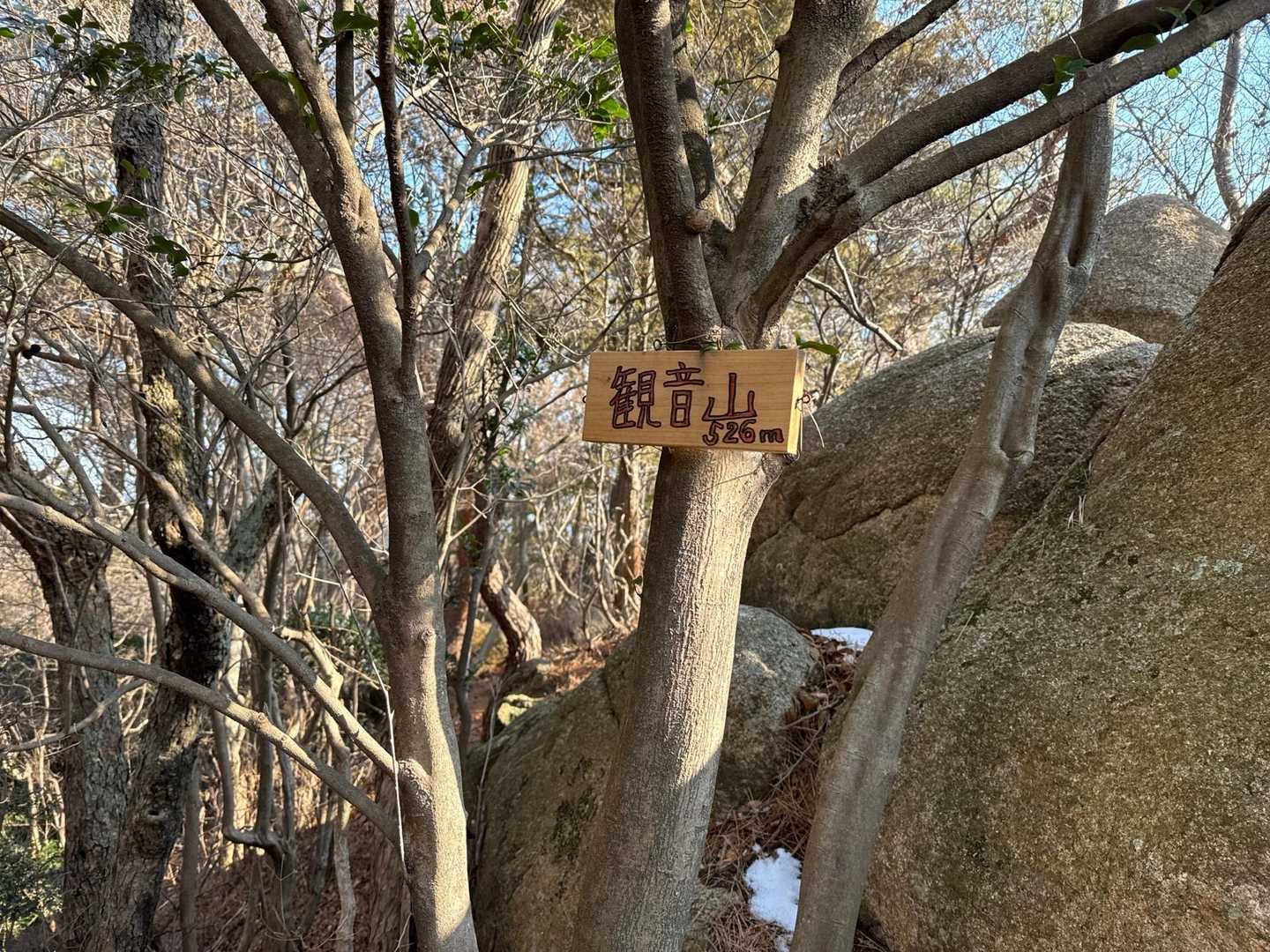 六甲ハイカー（六甲全山縦走路） の写真 14