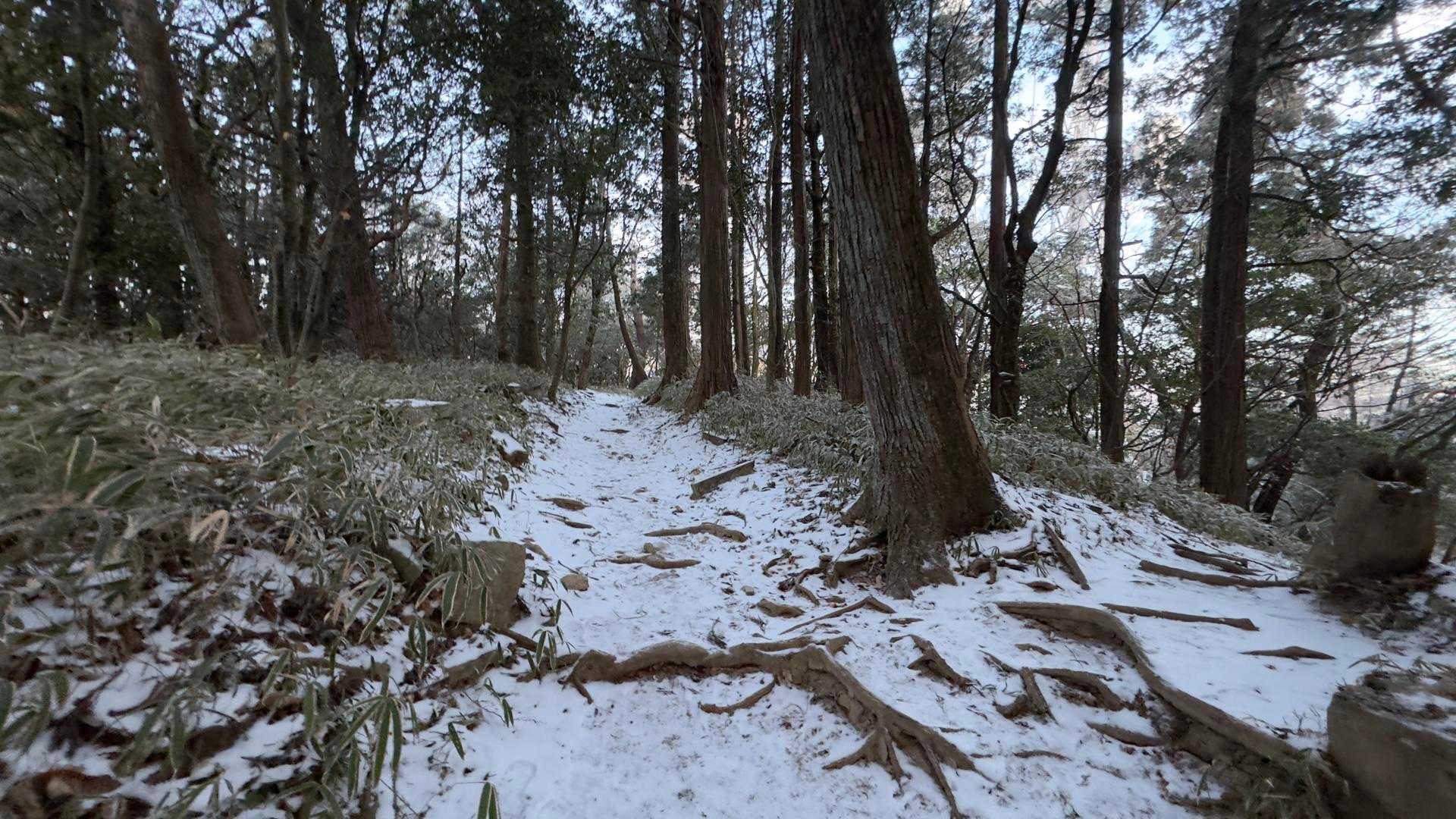 六甲ハイカー（六甲全山縦走路） の写真 49
