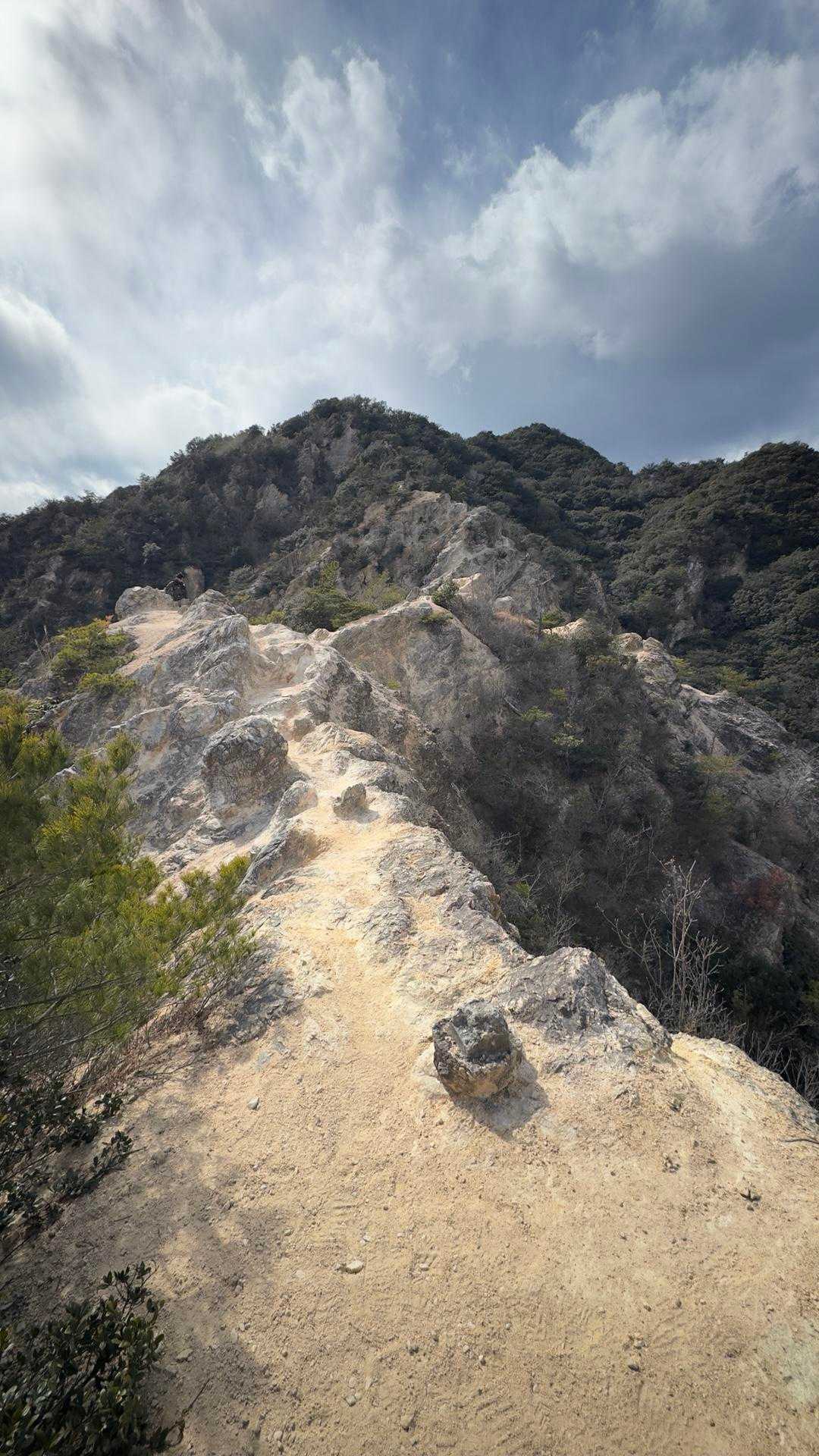 六甲ハイカー（六甲全山縦走路） の写真 86
