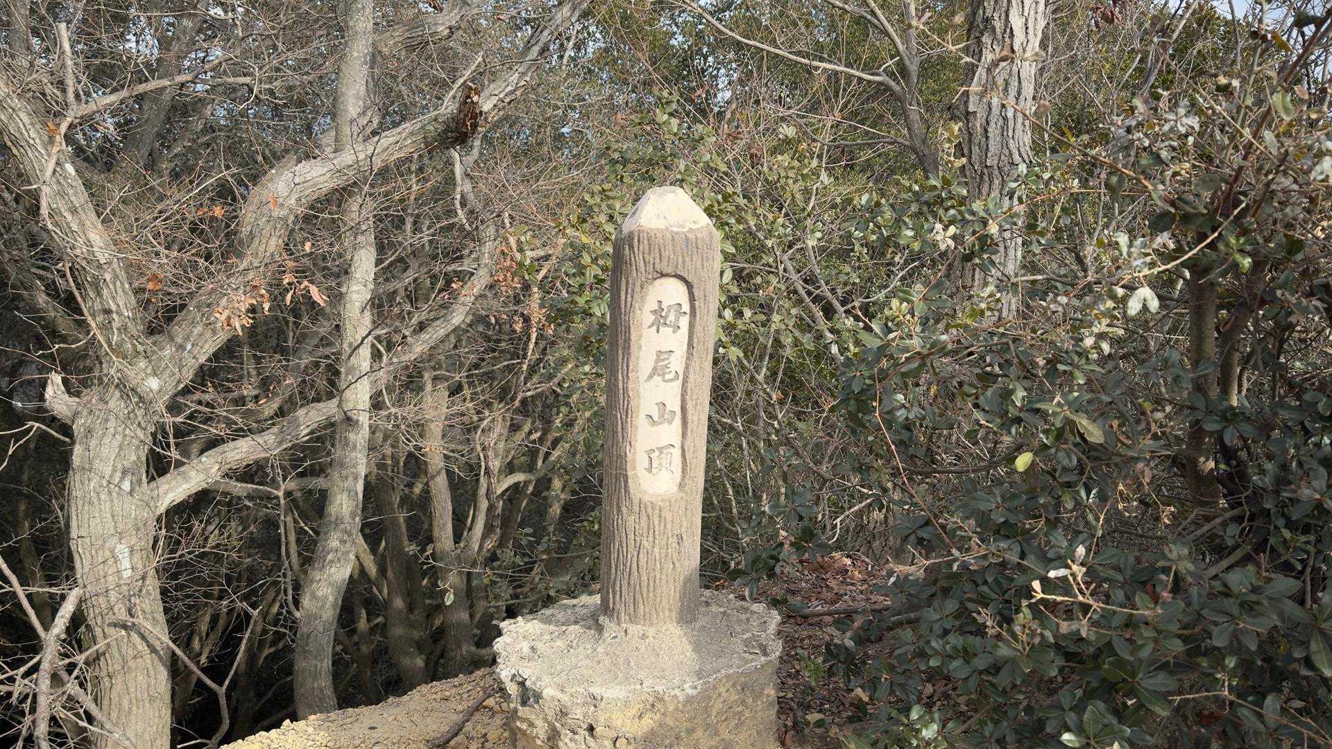 六甲ハイカー（六甲全山縦走路） の写真 91