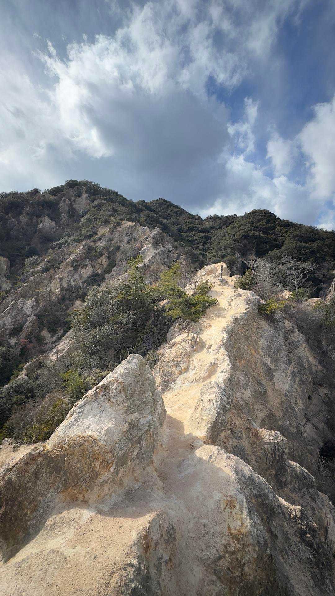 六甲ハイカー（六甲全山縦走路） の写真 88