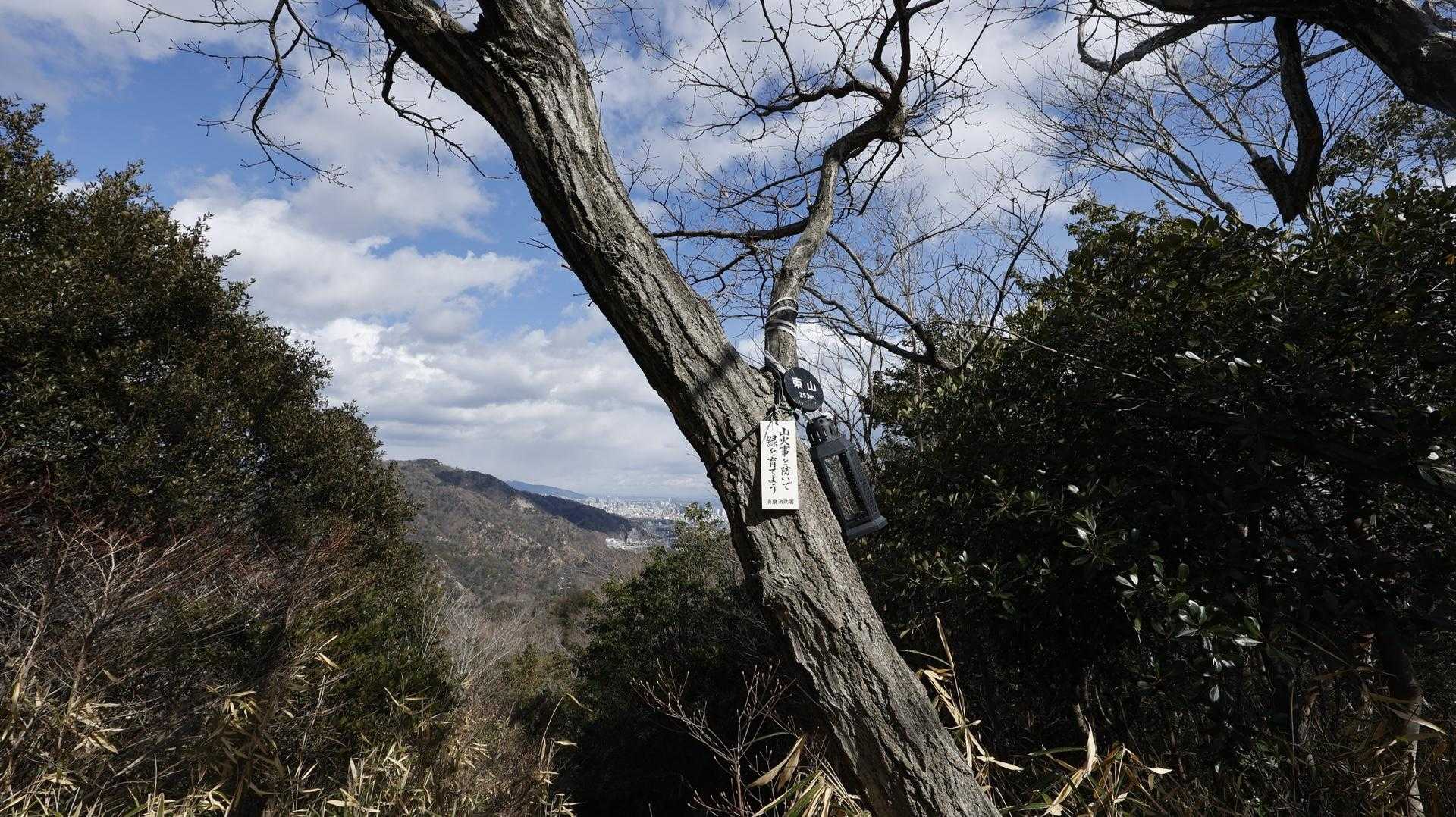 六甲ハイカー（六甲全山縦走路） の写真 83