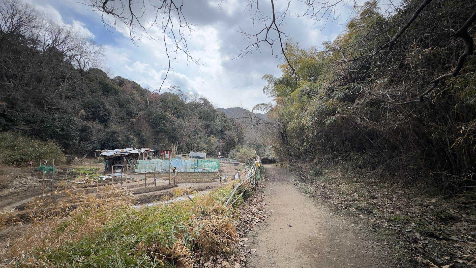 六甲ハイカー（六甲全山縦走路） の写真 79