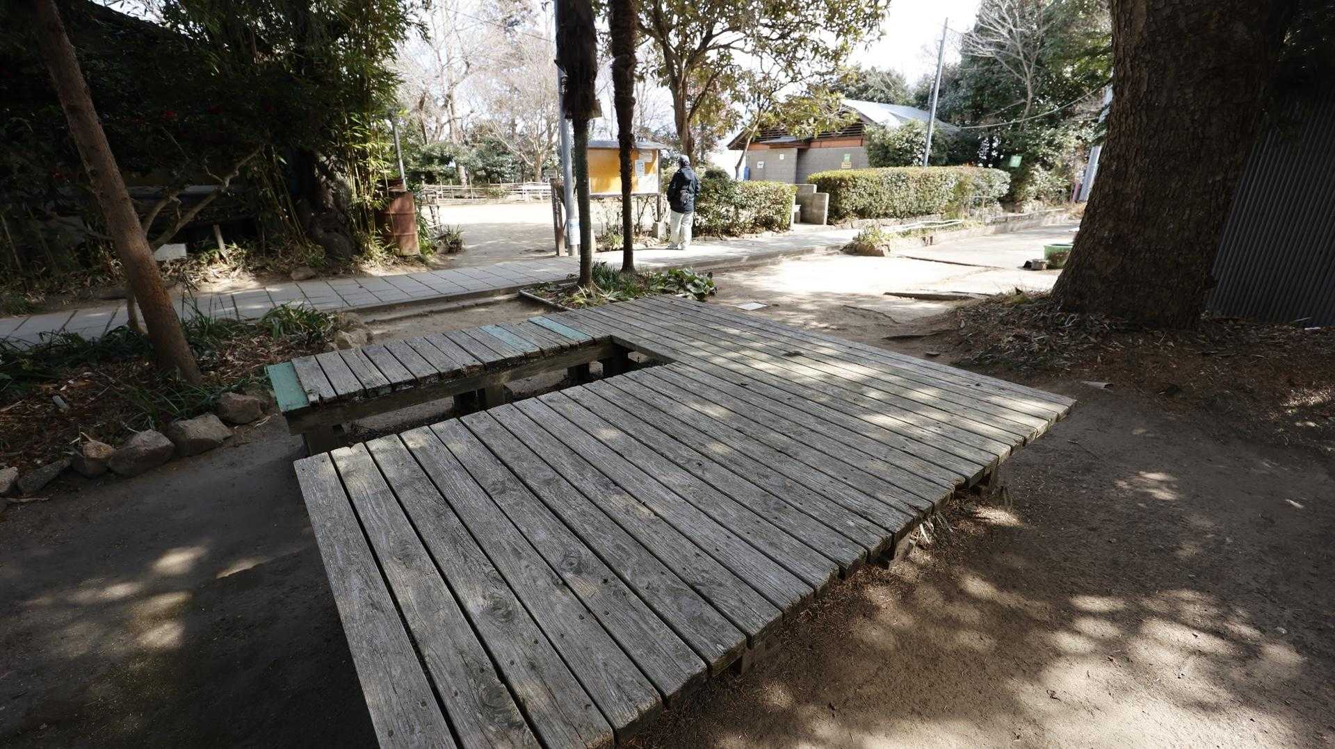 六甲ハイカー（六甲全山縦走路） の写真 73