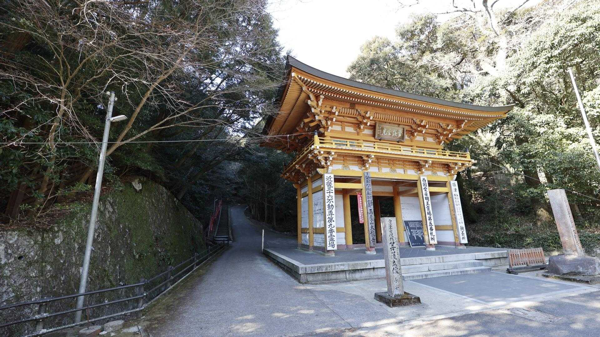 六甲ハイカー（六甲全山縦走路） の写真 56