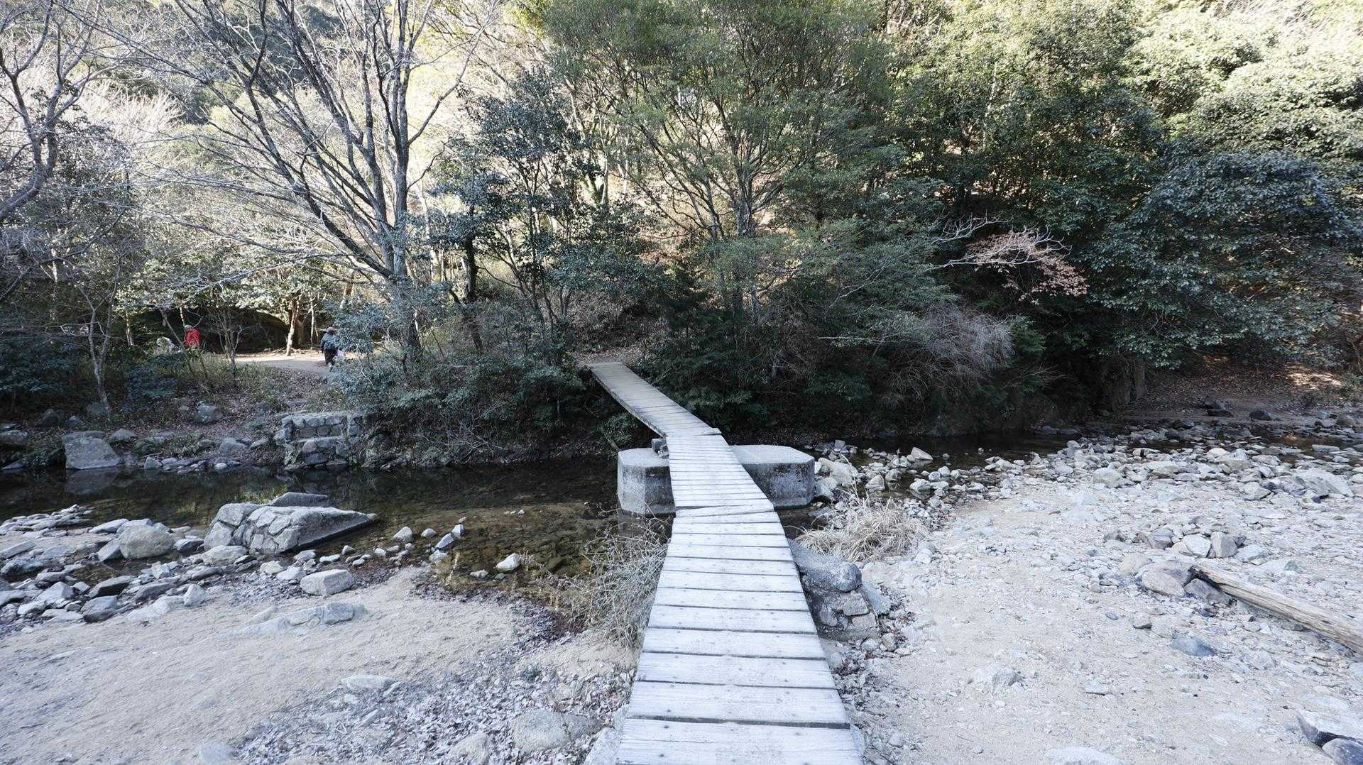 六甲ハイカー（六甲全山縦走路） の写真 54