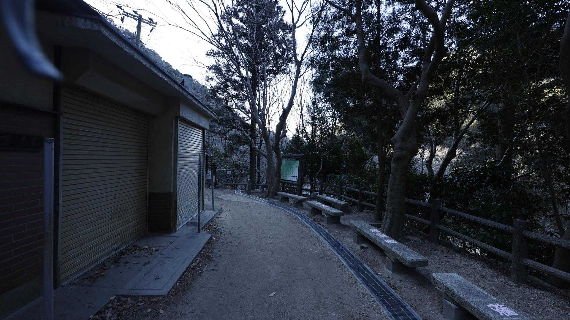 六甲ハイカー（六甲全山縦走路） の写真 52