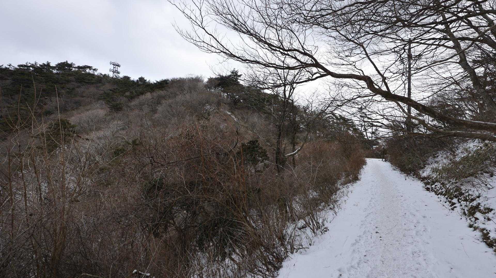 六甲ハイカー（六甲全山縦走路） の写真 27
