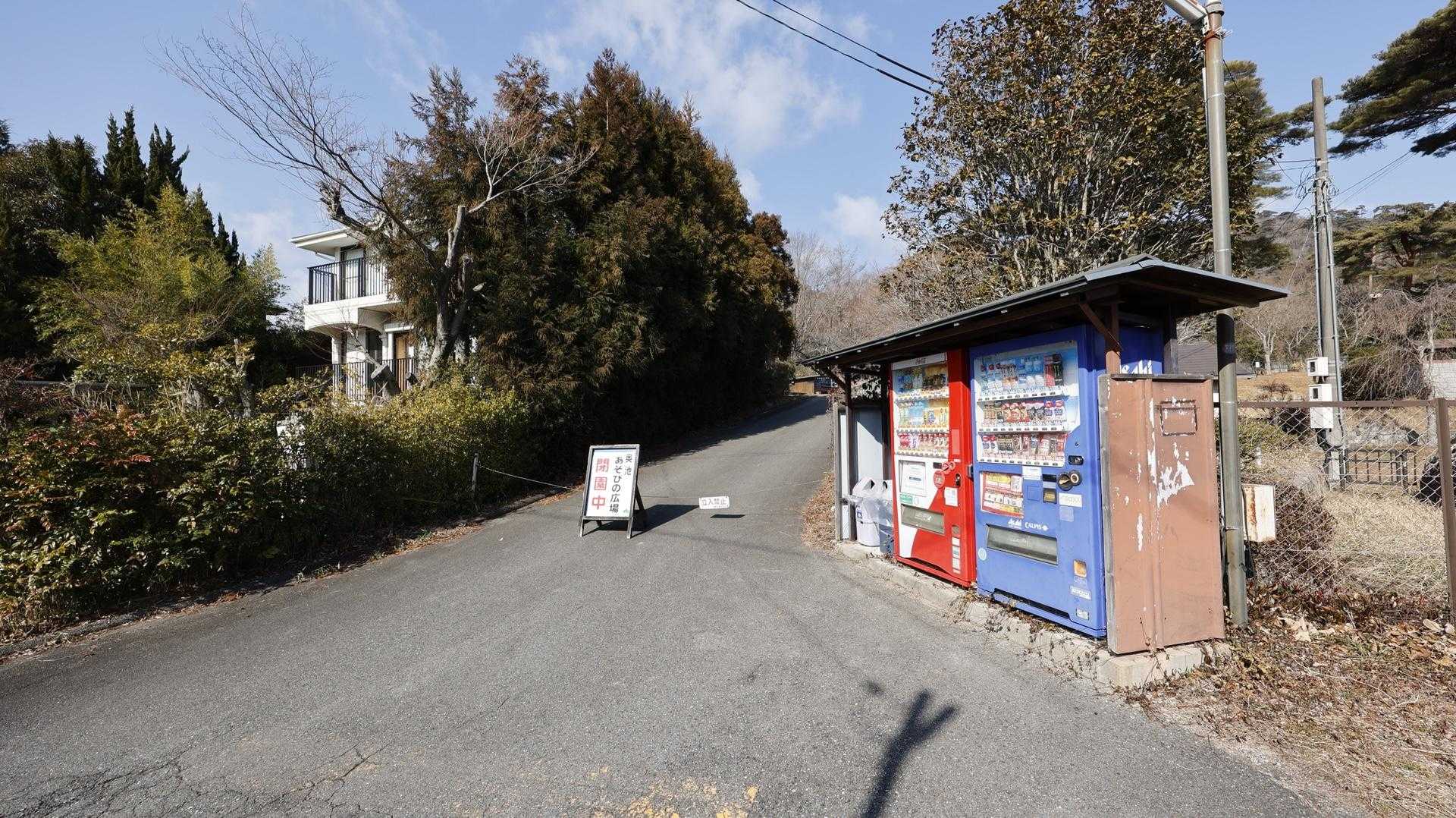 六甲ハイカー（六甲全山縦走路） の写真 18