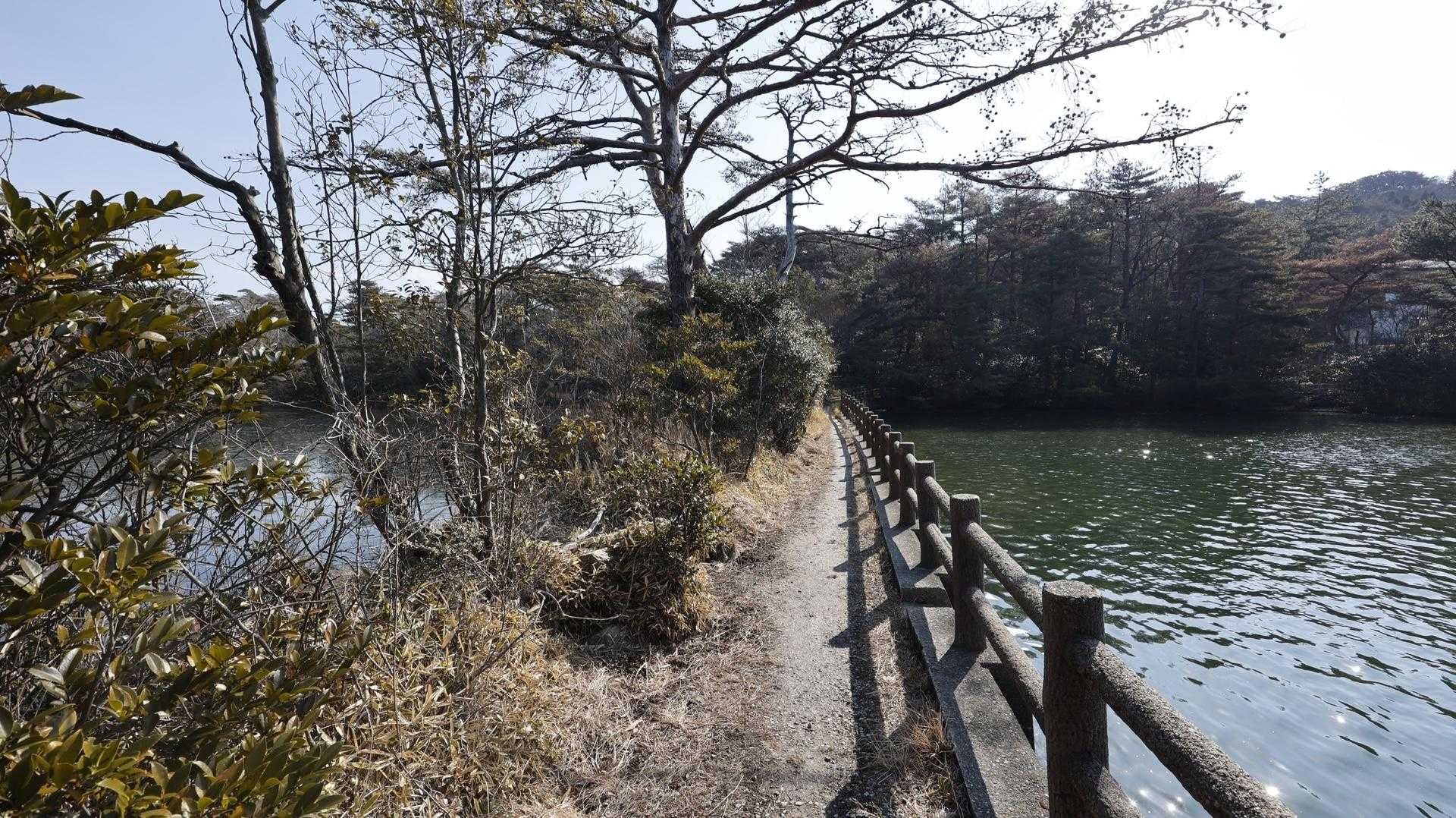 六甲ハイカー（六甲全山縦走路） の写真 17