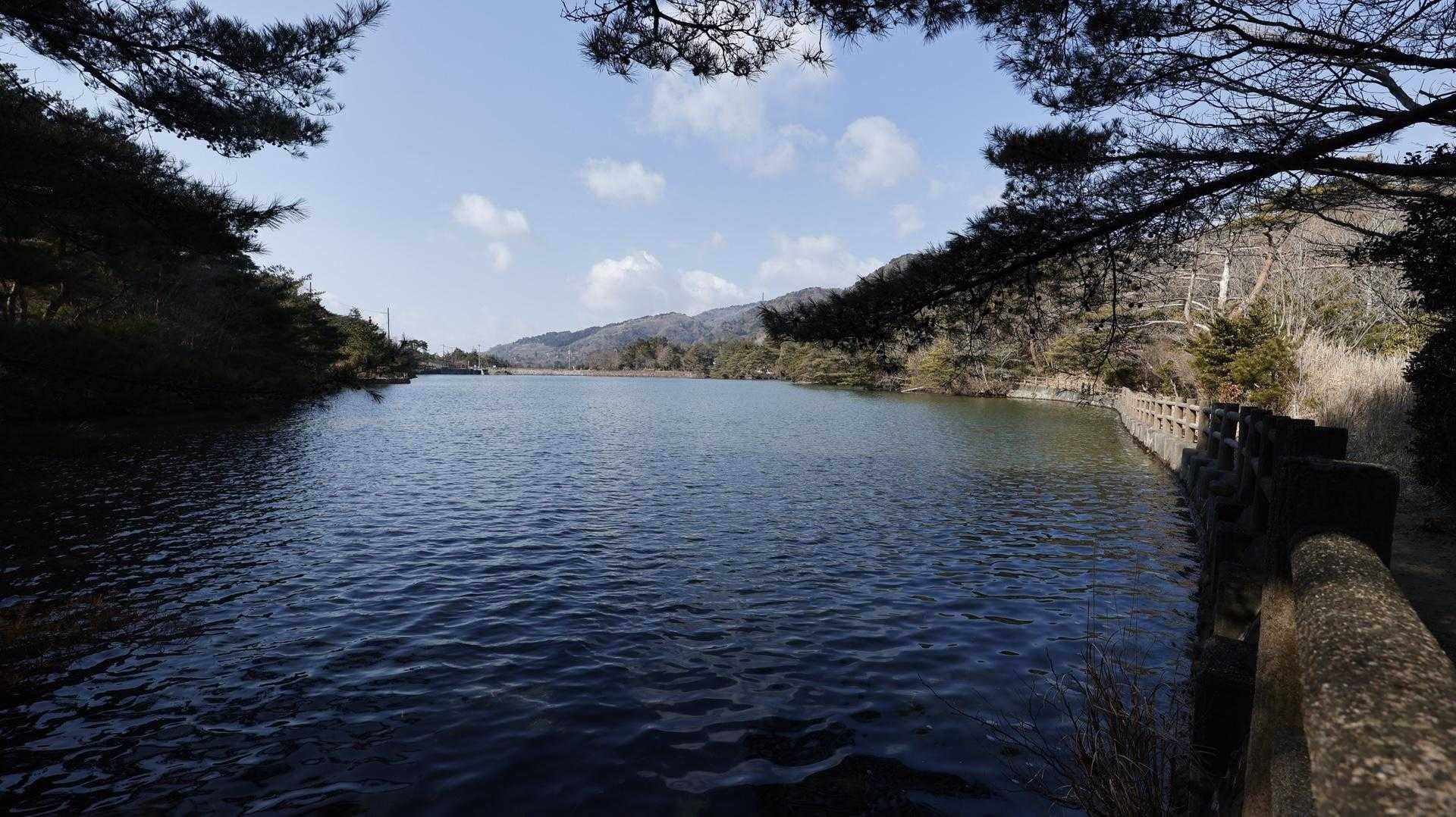 六甲ハイカー（六甲全山縦走路） の写真 16
