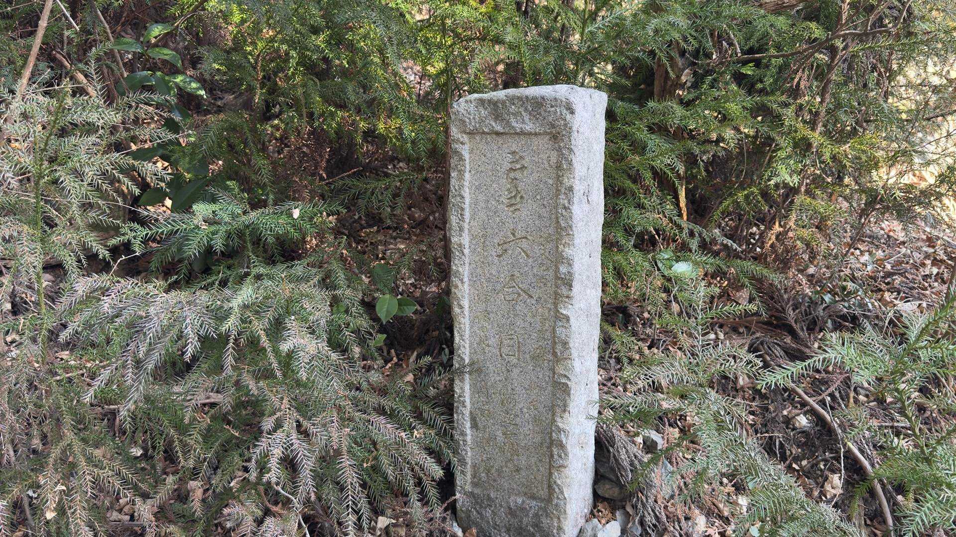 高水三山（高水山・岩茸石山・惣岳山） の写真 13