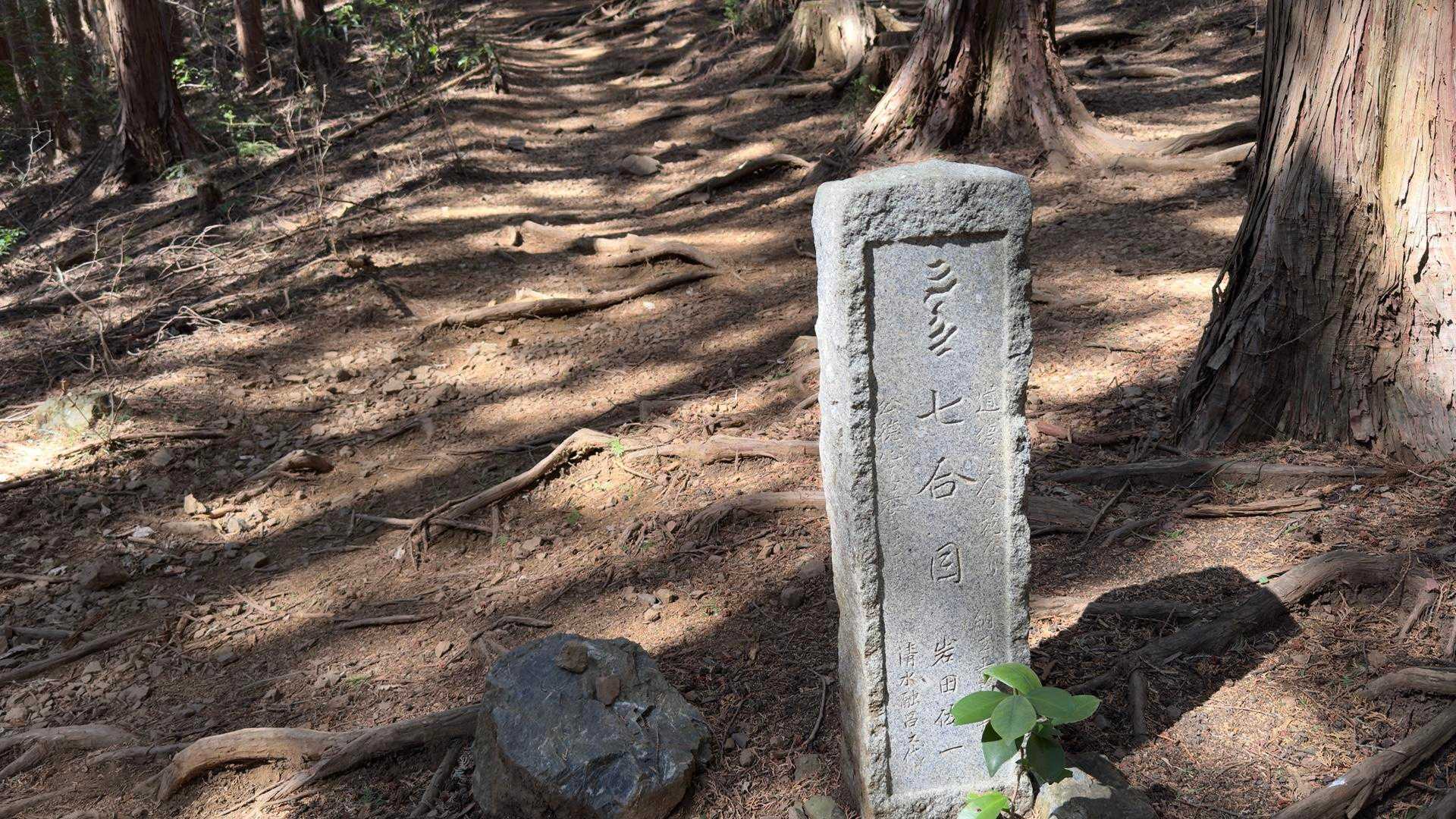 高水三山（高水山・岩茸石山・惣岳山） の写真 14