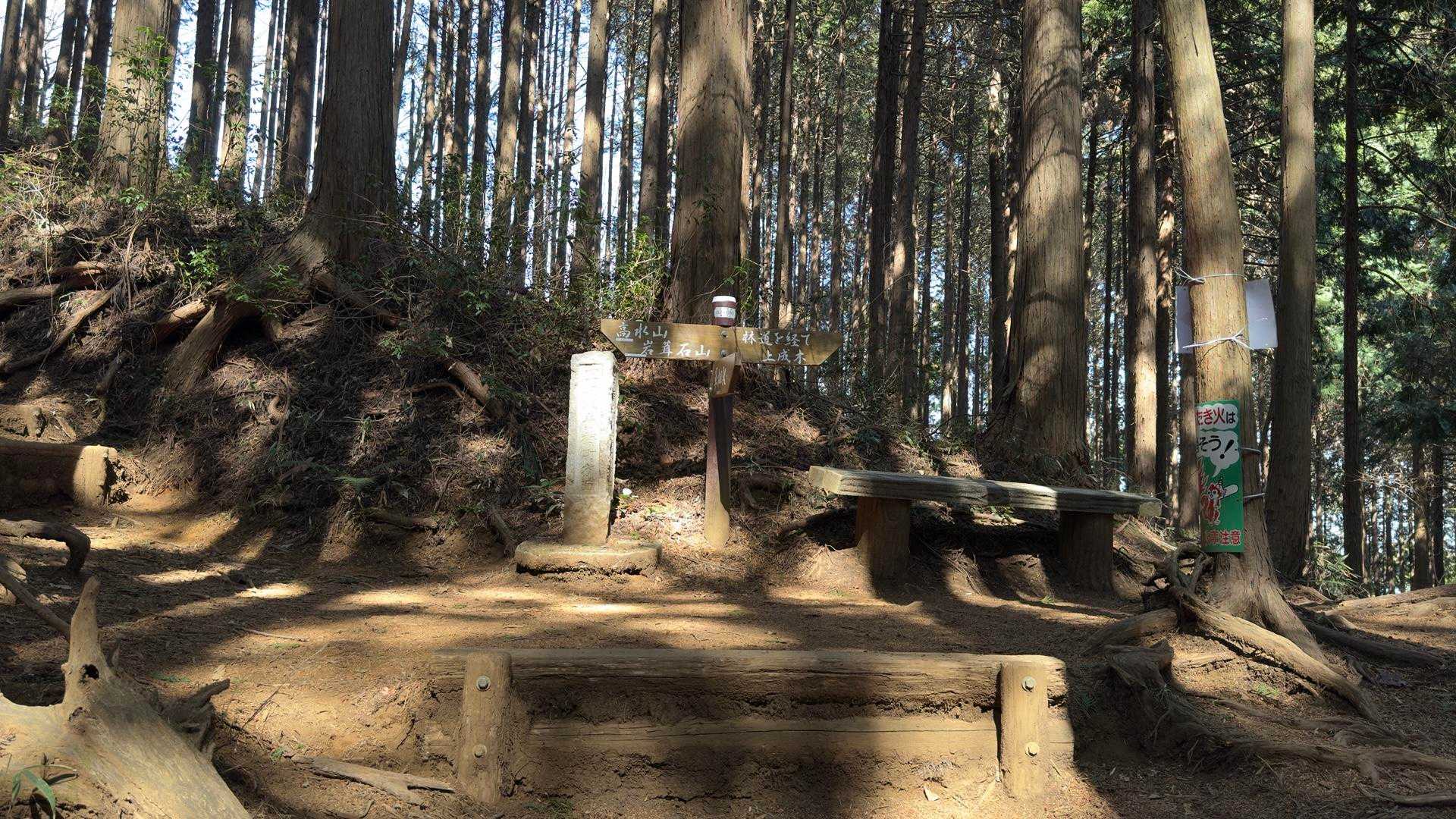 高水三山（高水山・岩茸石山・惣岳山） の写真 17