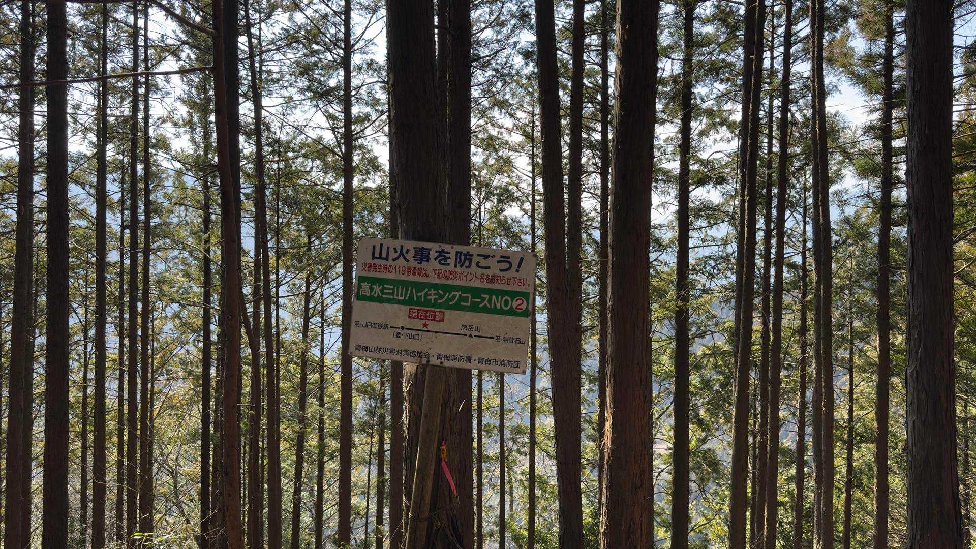 高水三山（高水山・岩茸石山・惣岳山） の写真 33