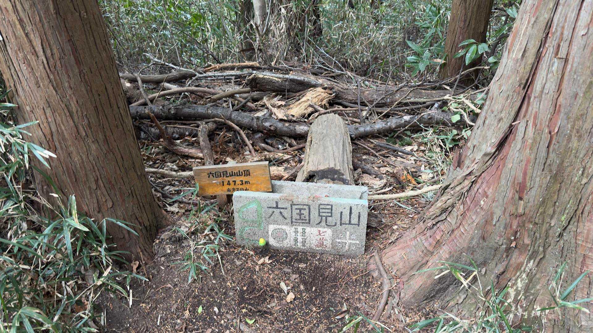 六国見山山頂