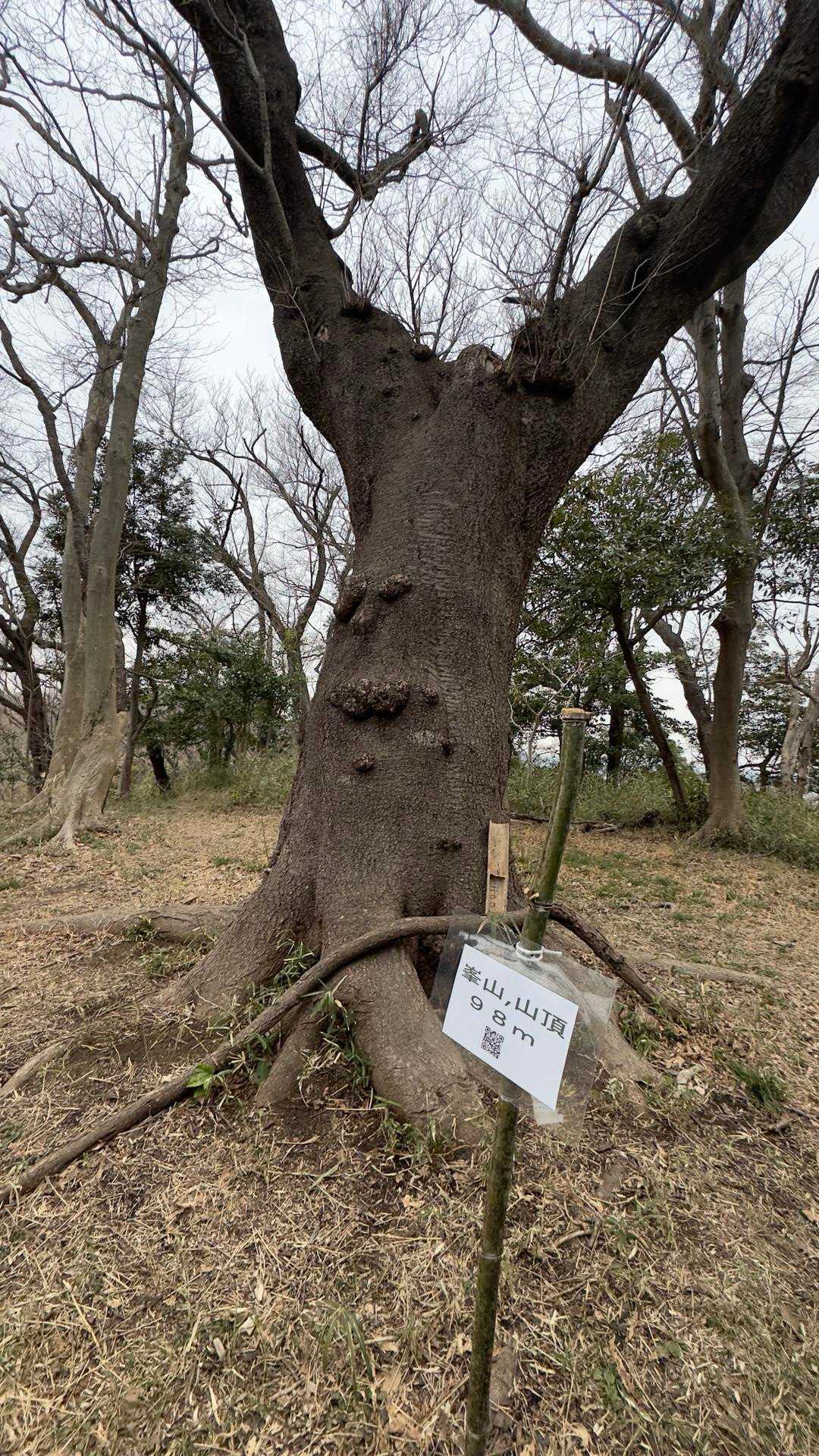 峯山山頂