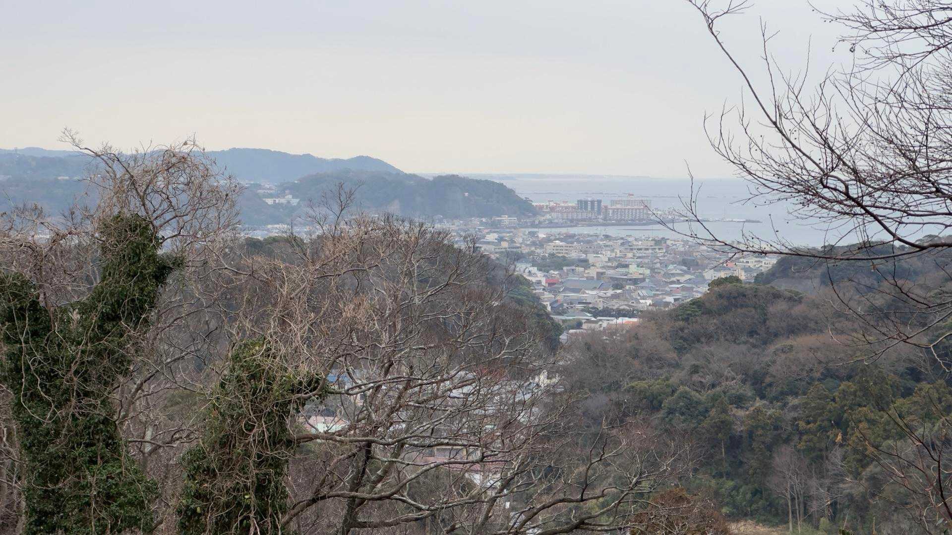 鎌倉アルプス縦走 の写真 28