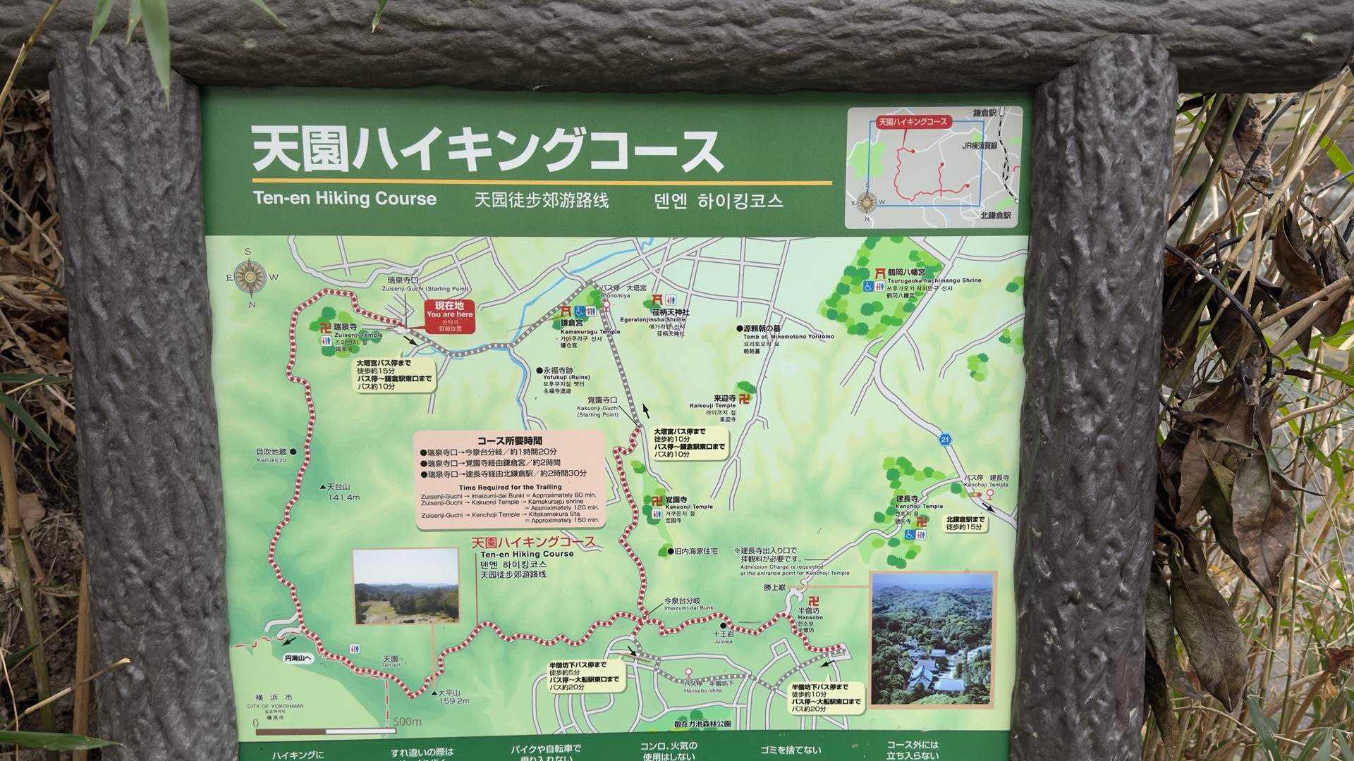 鎌倉アルプス縦走 の写真 19