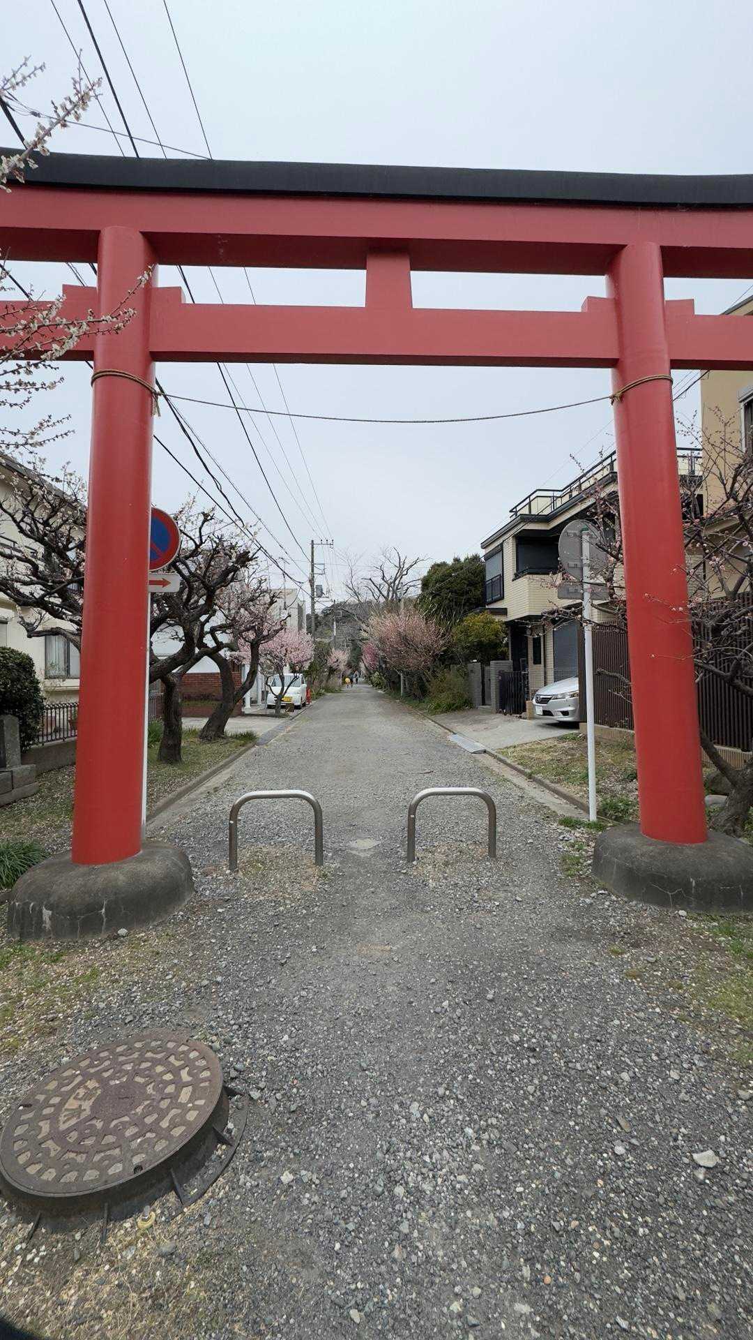鎌倉アルプス縦走 の写真 17