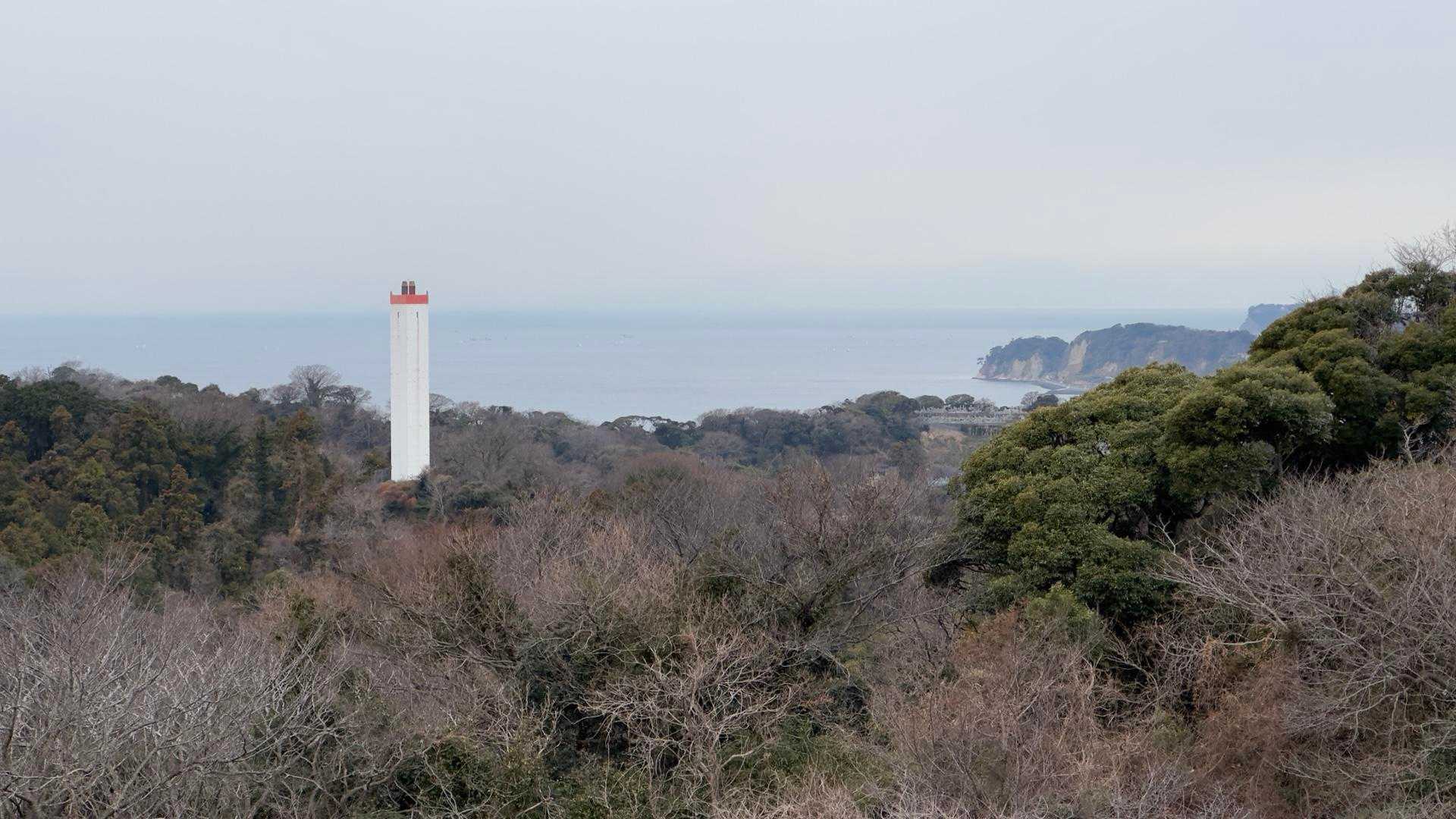 鎌倉アルプス縦走 の写真 11