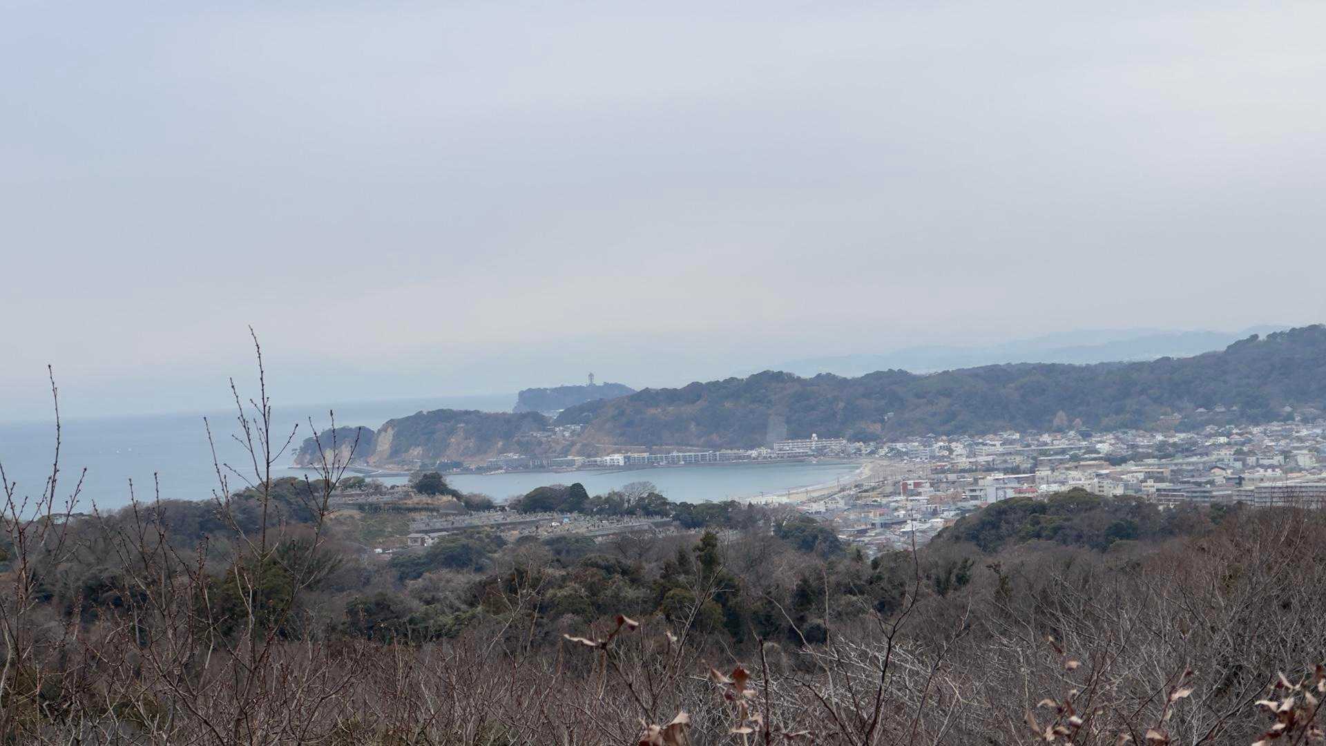 鎌倉アルプス縦走 の写真 10