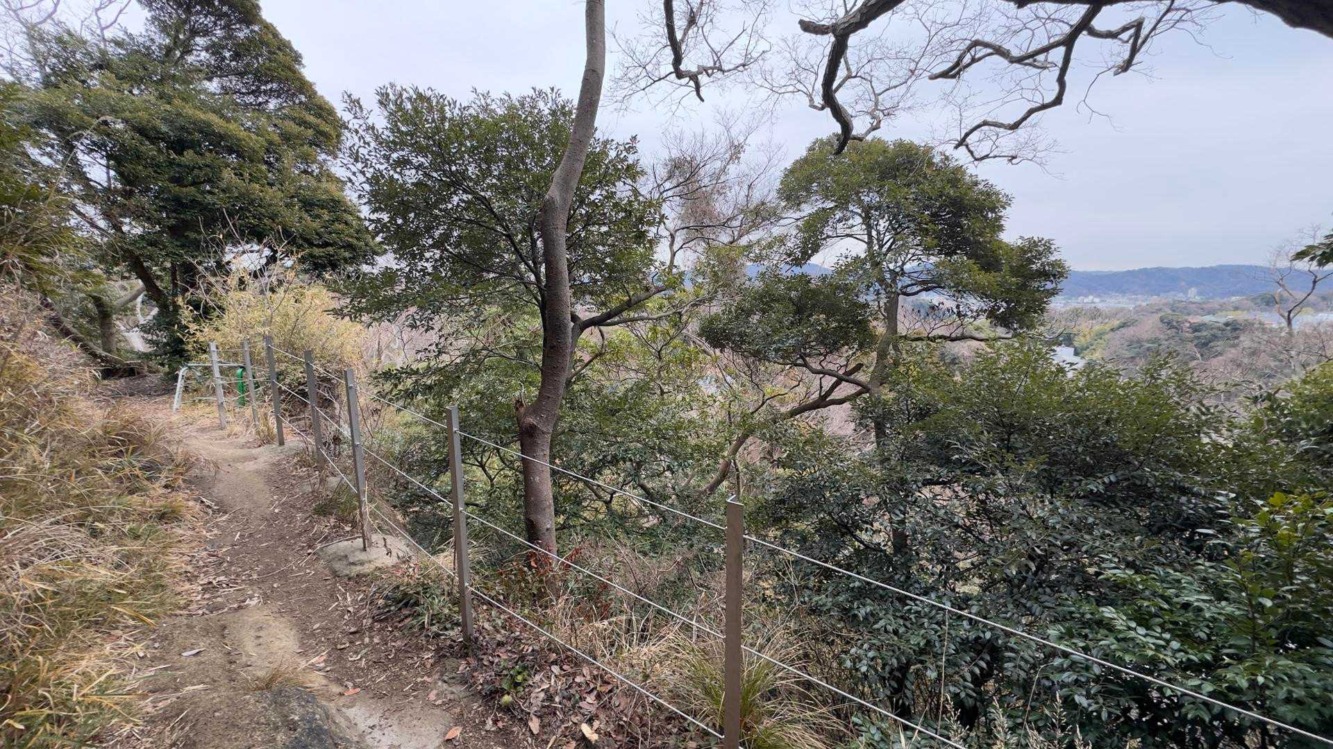 鎌倉アルプス縦走 の写真 8
