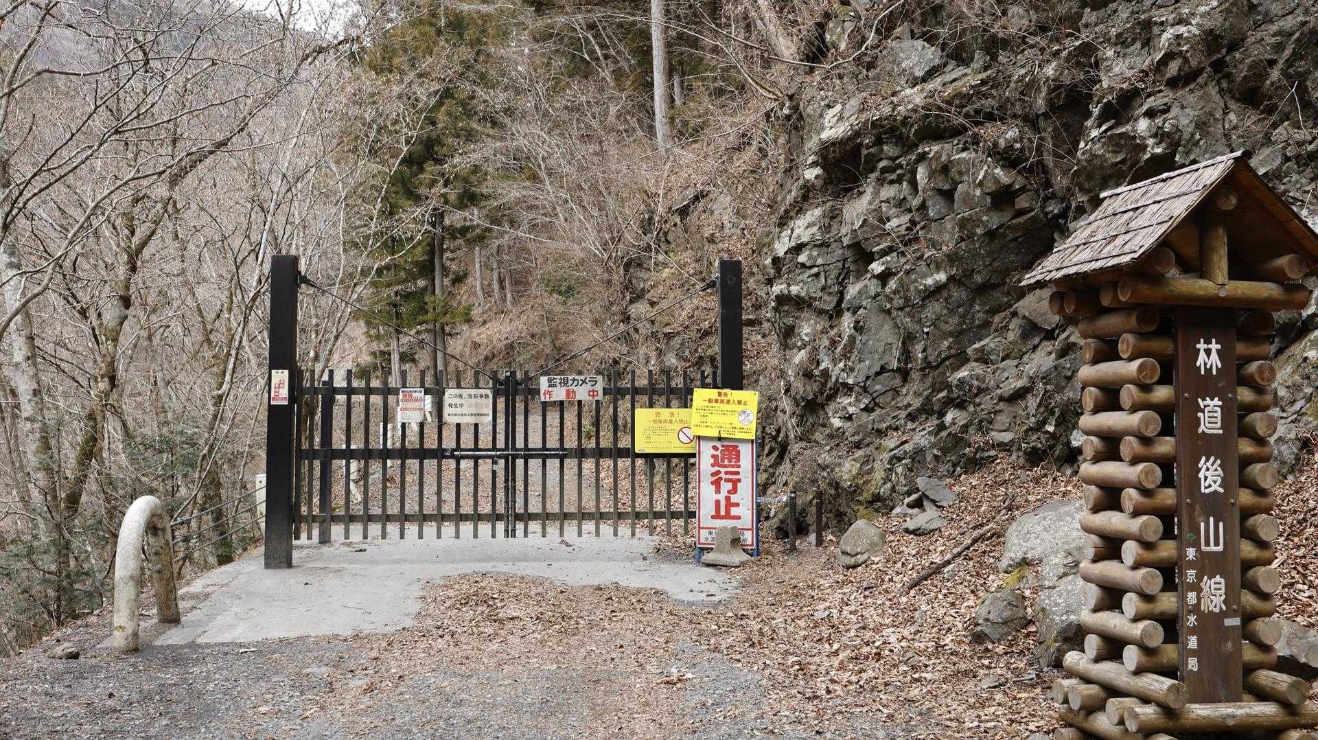 雲取山（鴨沢〜雲取山〜三条の湯泊〜鴨沢） の写真 37