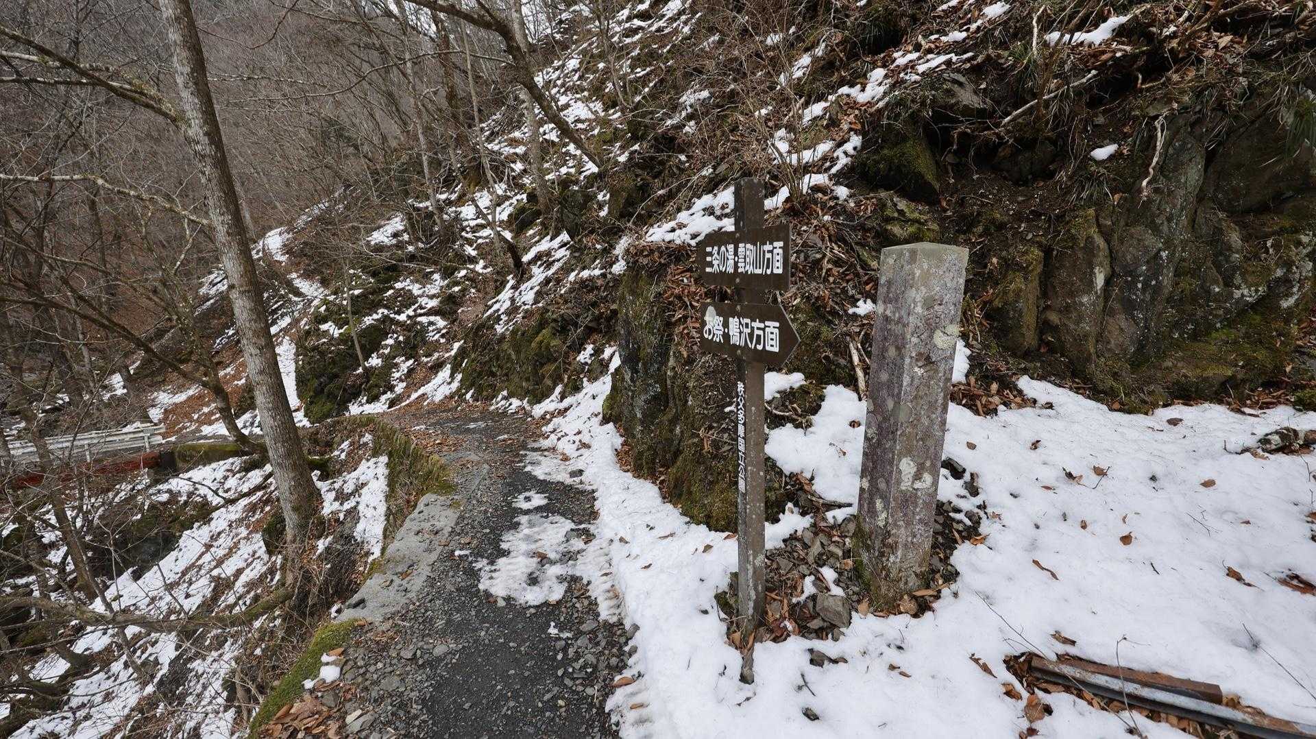 雲取山（鴨沢〜雲取山〜三条の湯泊〜鴨沢） の写真 36