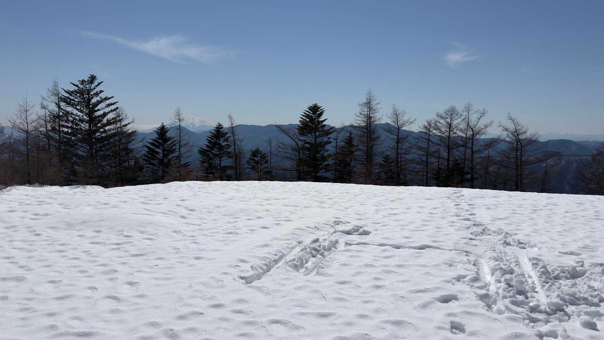 雲取山（鴨沢〜雲取山〜三条の湯泊〜鴨沢） の写真 16