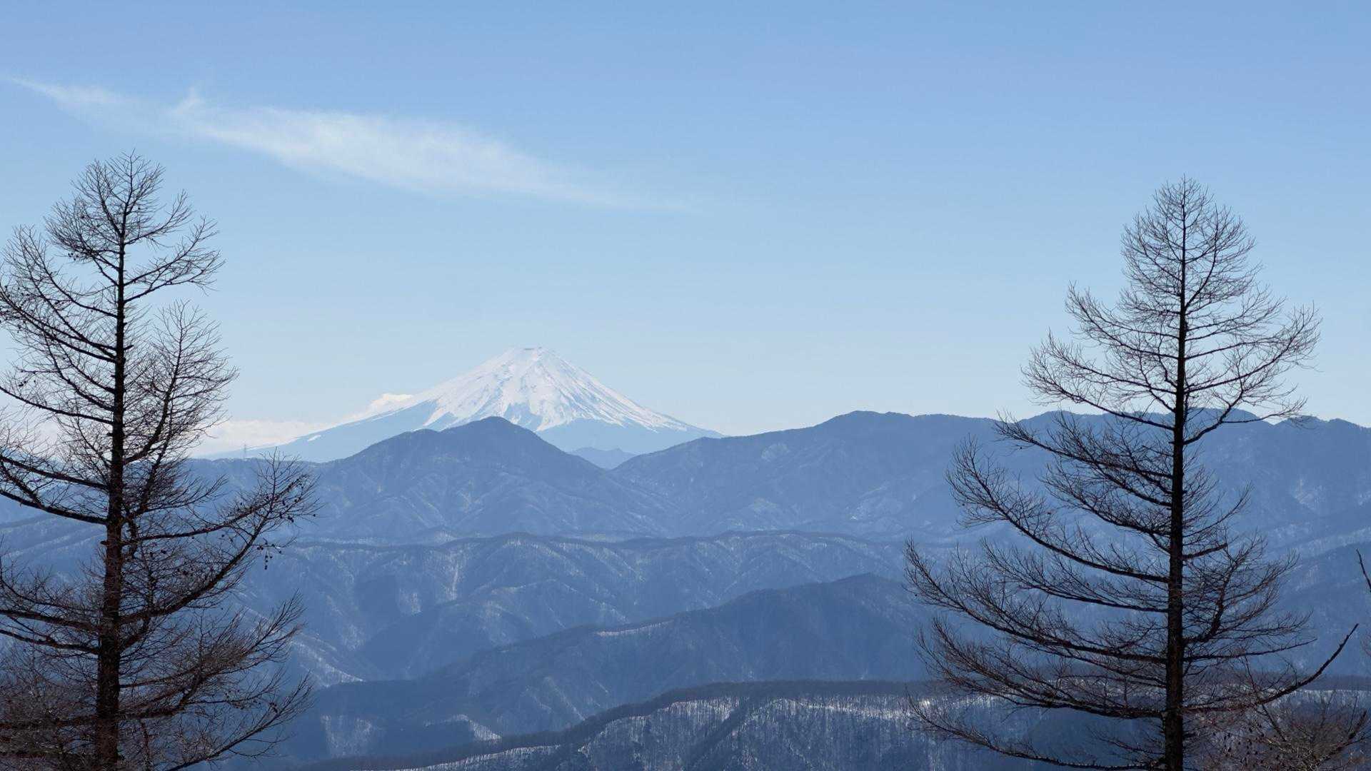 雲取山（鴨沢〜雲取山〜三条の湯泊〜鴨沢） の写真 14