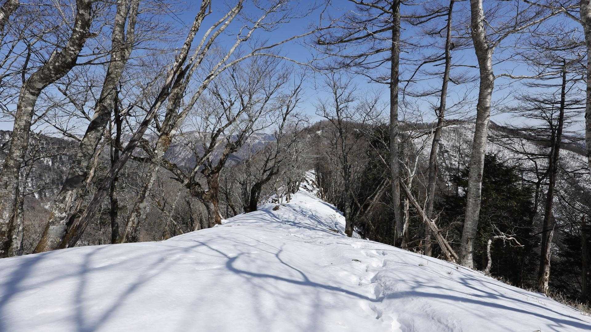 石尾根、鷹ノ巣山方面