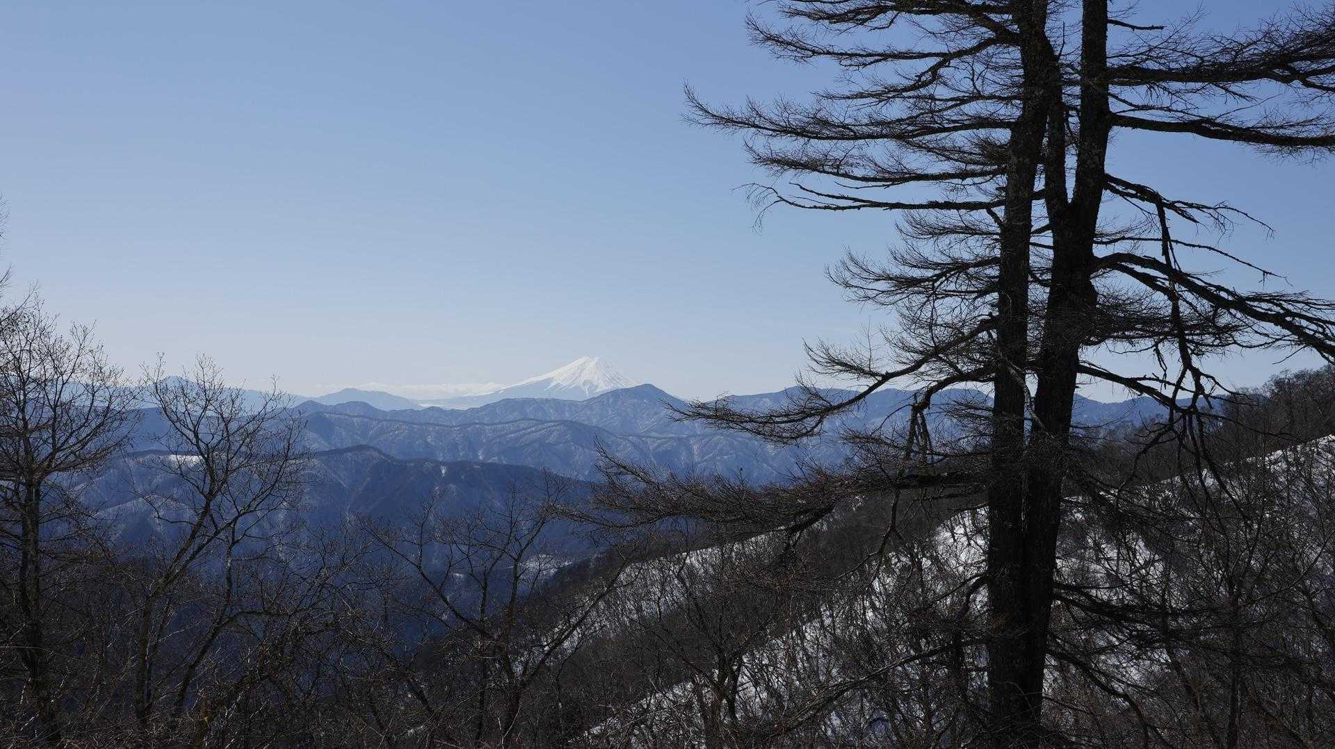 雲取山（鴨沢〜雲取山〜三条の湯泊〜鴨沢） の写真 7