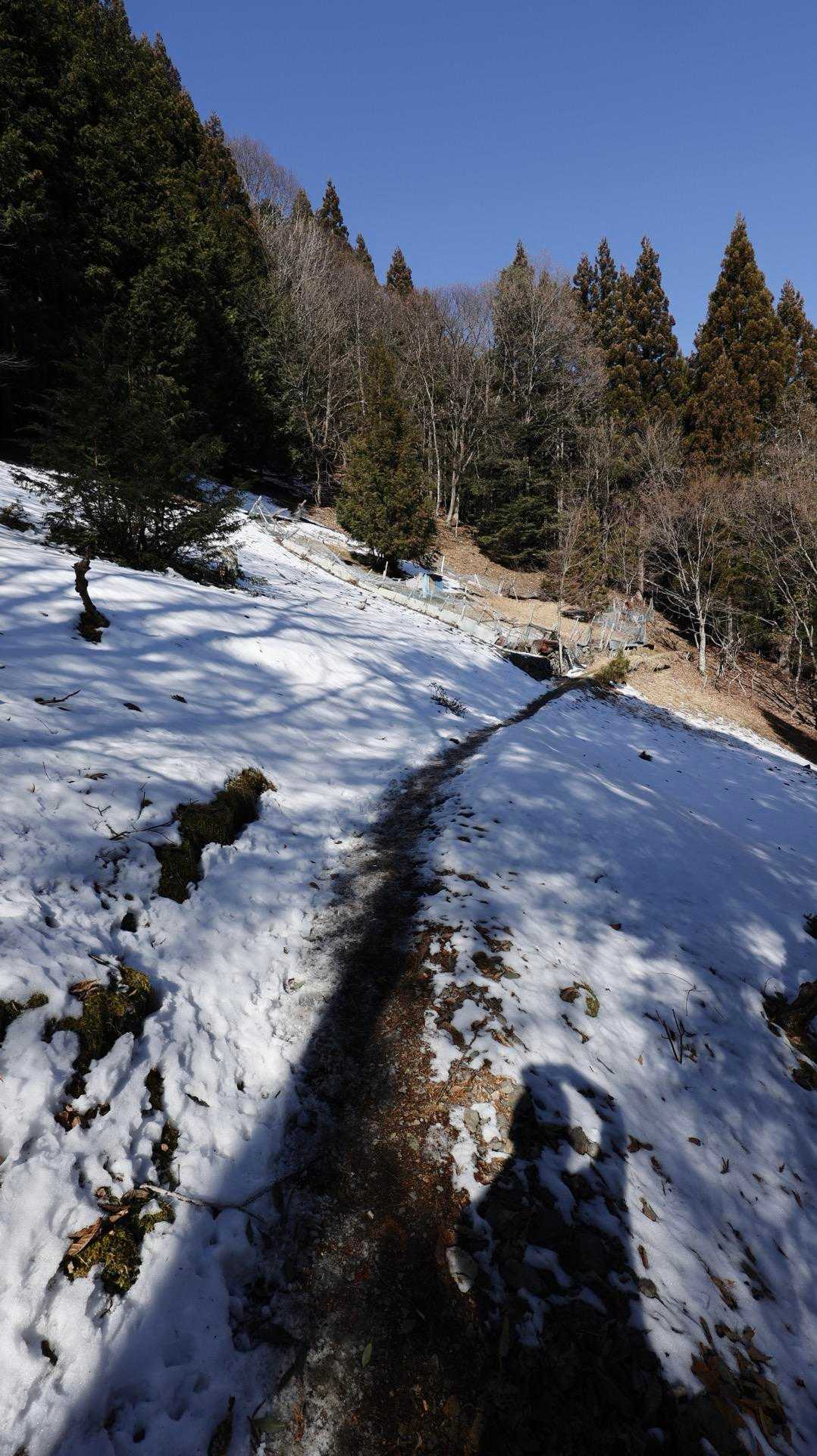 登山口から少し入ると、日陰には雪が残ってます