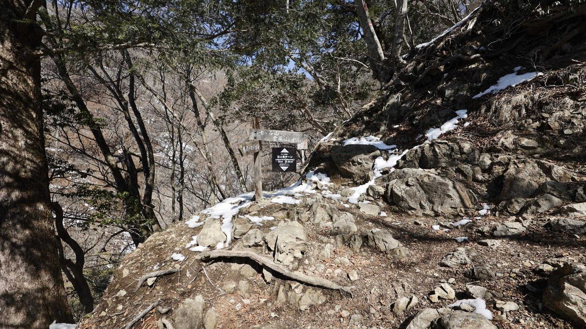 雲取山（鴨沢〜雲取山〜三条の湯泊〜鴨沢） の写真 5