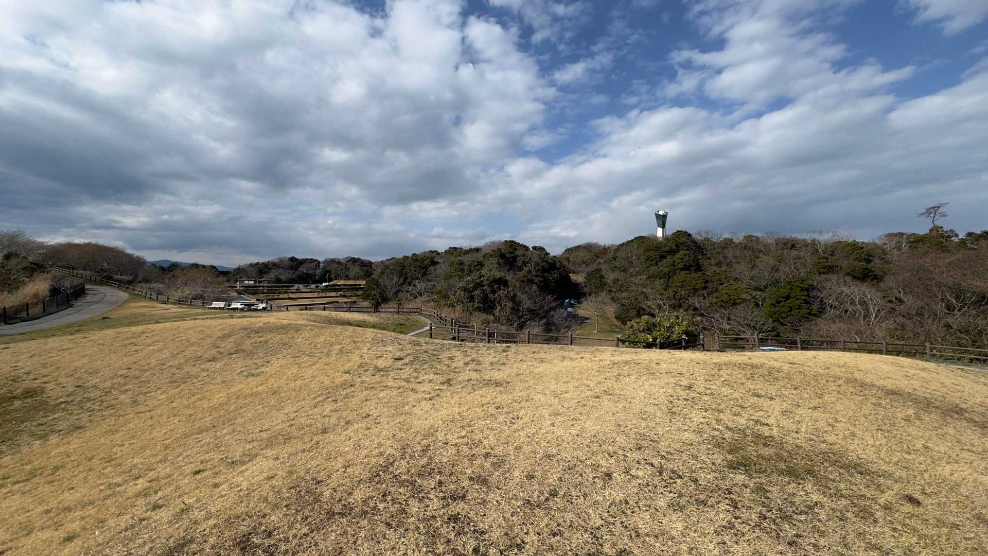 三崎公園、大学の頃一度来た憶えが…