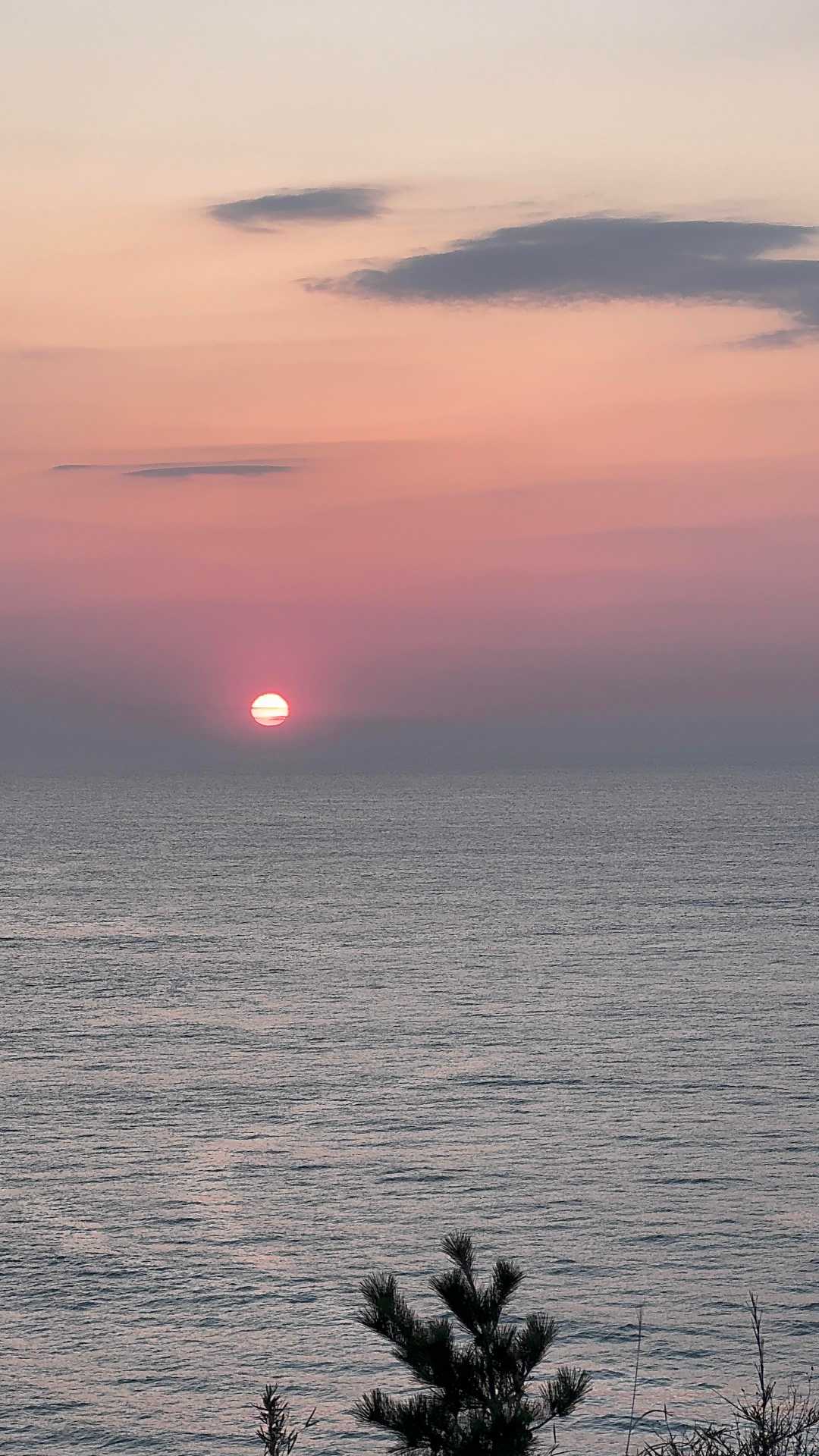 ふくしま浜街道トレイル#1（勿来〜四ツ倉〜天神岬〜富岡〜夜ノ森） の写真 9