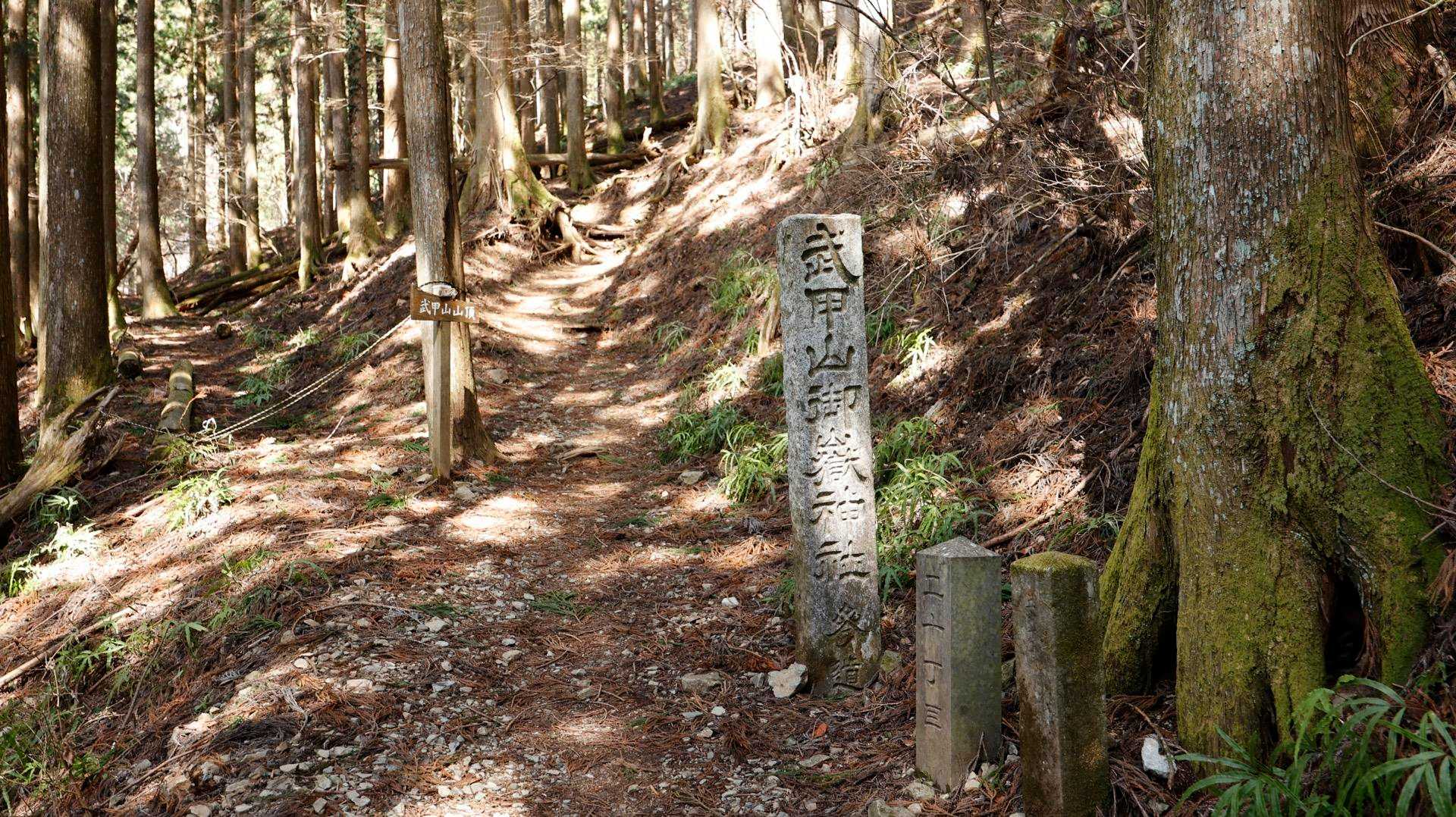 武甲山 の写真 1