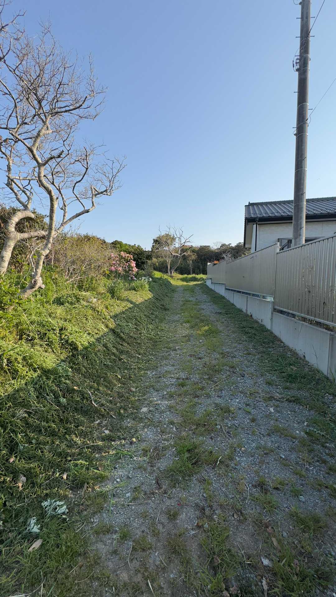 ふくしま浜街道トレイル#3-2（浪江駅〜小高〜雲雀ヶ原〜原ノ町駅） の写真 60