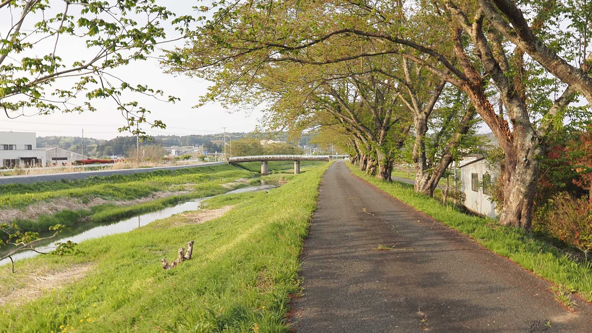 ふくしま浜街道トレイル#3-2（浪江駅〜小高〜雲雀ヶ原〜原ノ町駅） の写真 25
