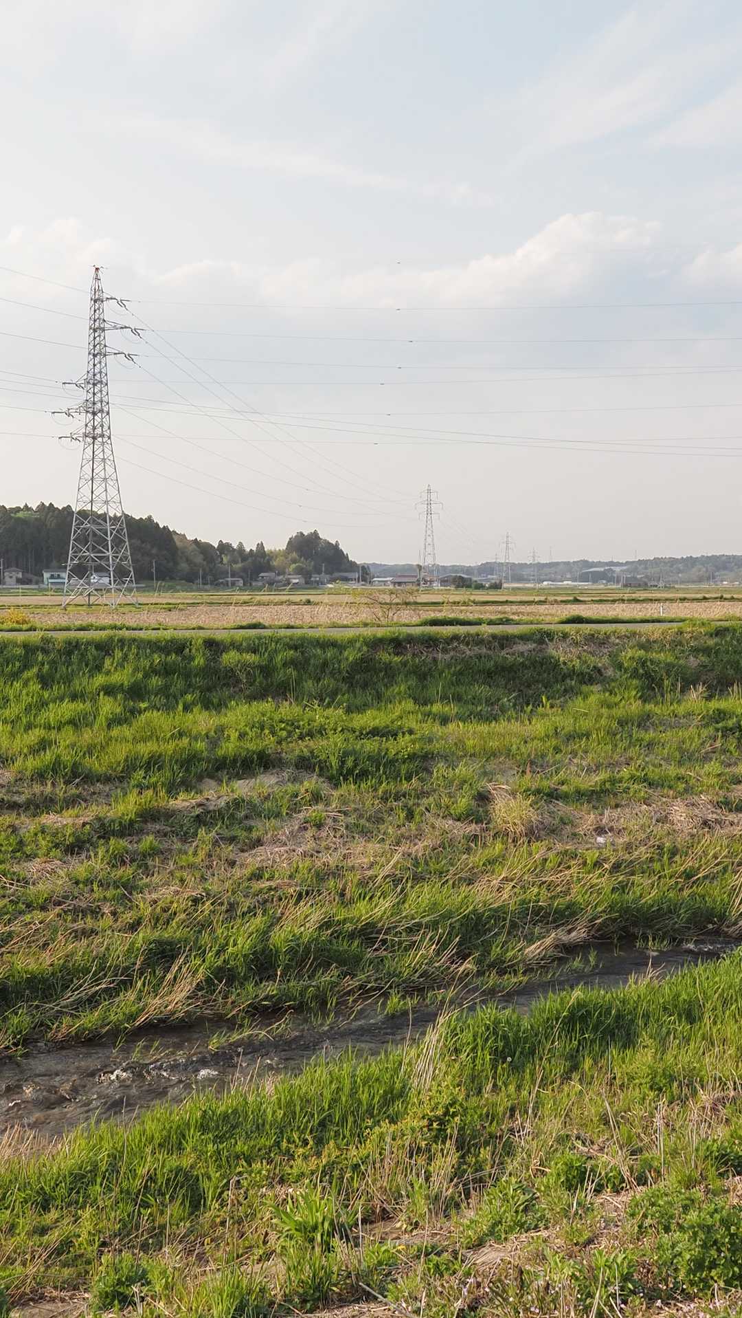 ふくしま浜街道トレイル#3-2（浪江駅〜小高〜雲雀ヶ原〜原ノ町駅） の写真 22