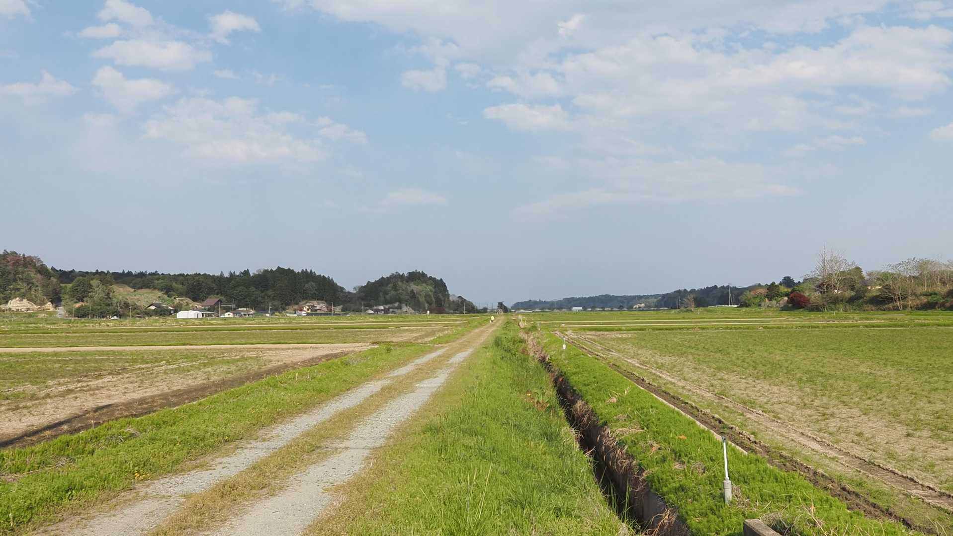 ふくしま浜街道トレイル#3-2（浪江駅〜小高〜雲雀ヶ原〜原ノ町駅） の写真 13
