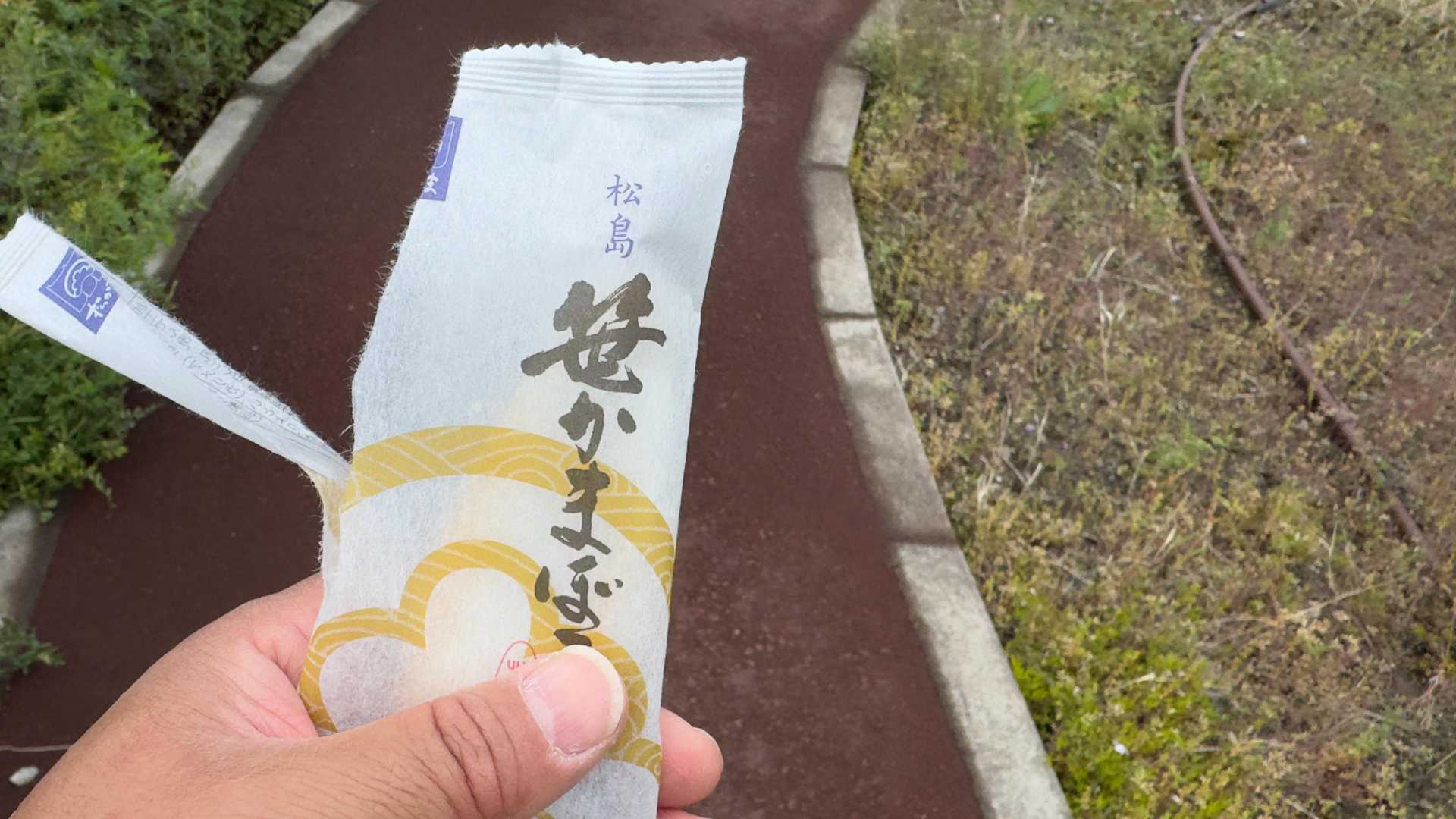 みちのく潮風トレイル#1／松川浦〜女川駅 の写真 61