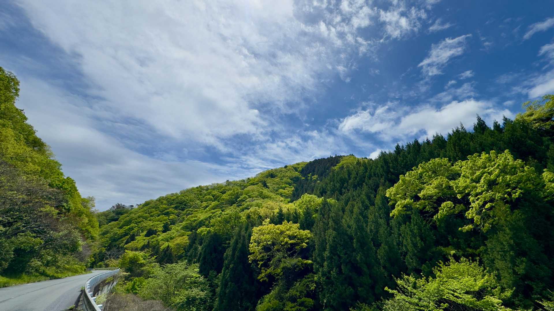 青空が見えてきました