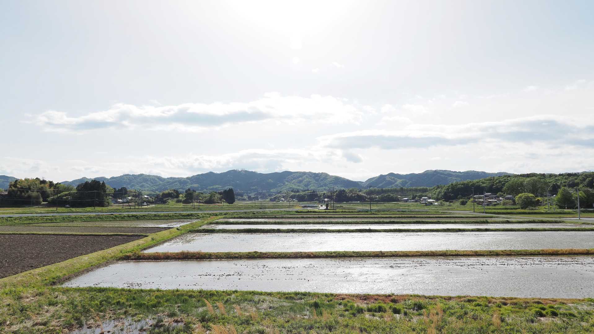 みちのく潮風トレイル#1／松川浦〜女川駅 の写真 23